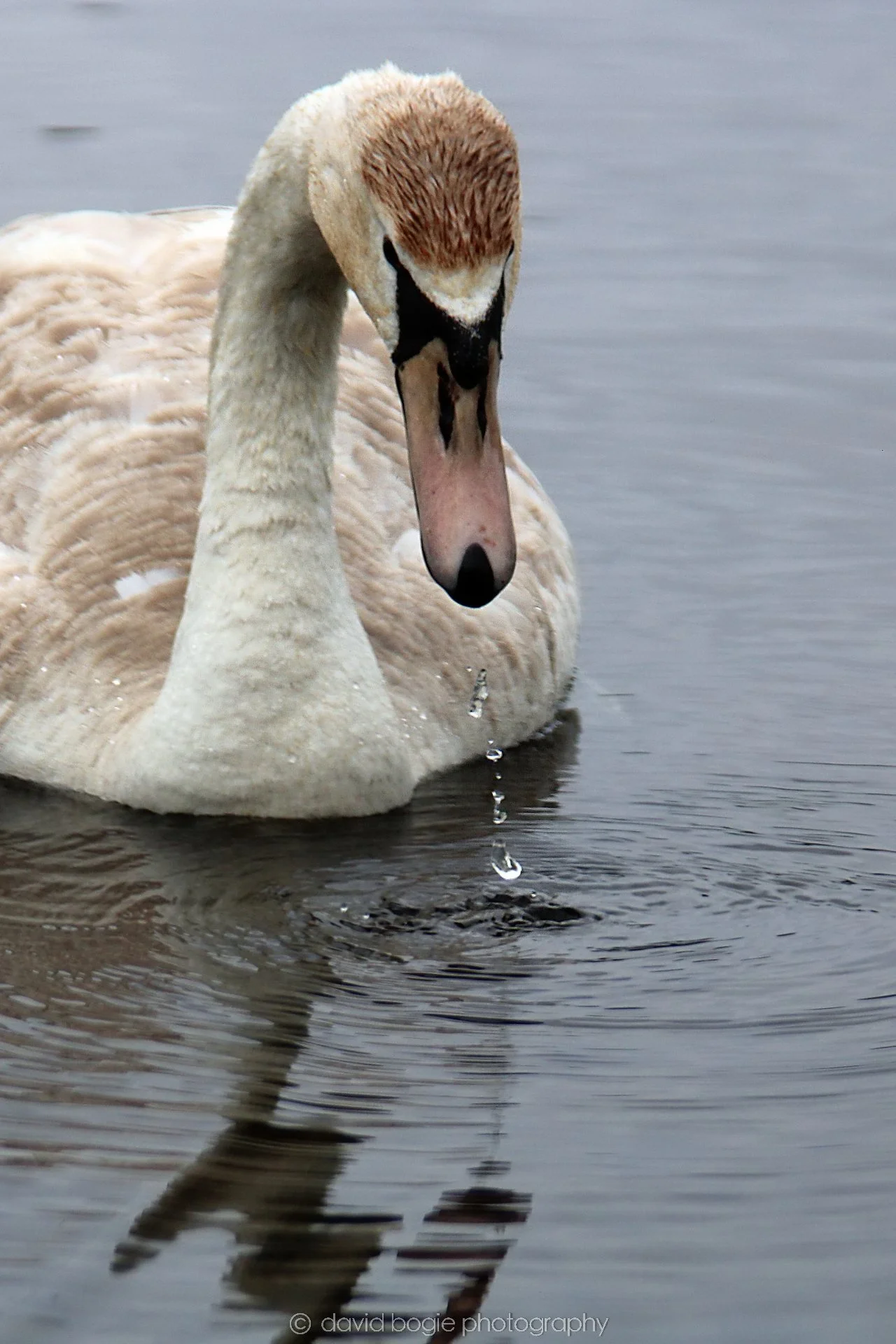 YEAR20220426 Lochore 34.jpg