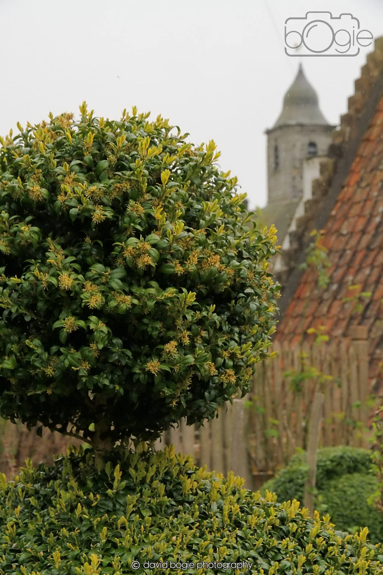 20260401 122710 Culross0113.jpg