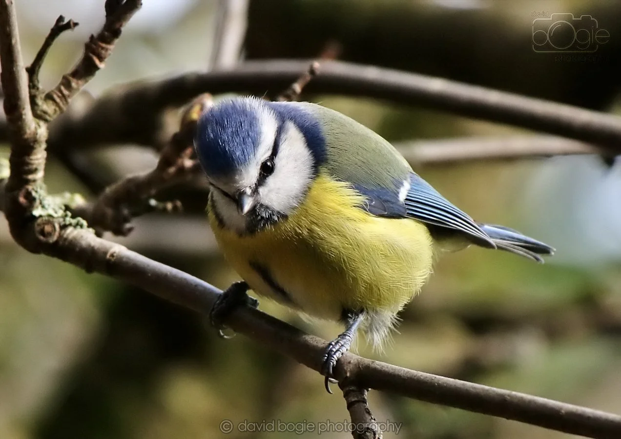 20260314 142841 Silverburn 0269.jpg