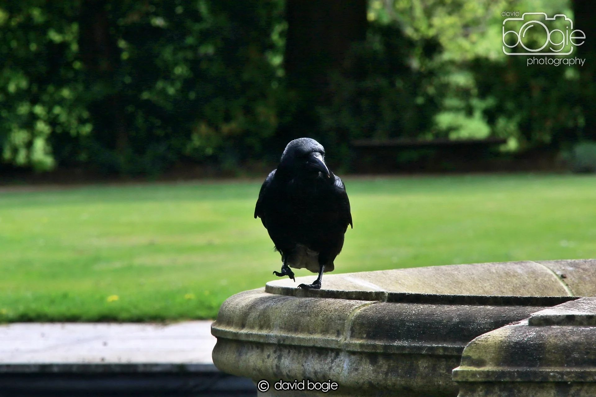 20250505 132448 Beveridge Park 0843.JPG