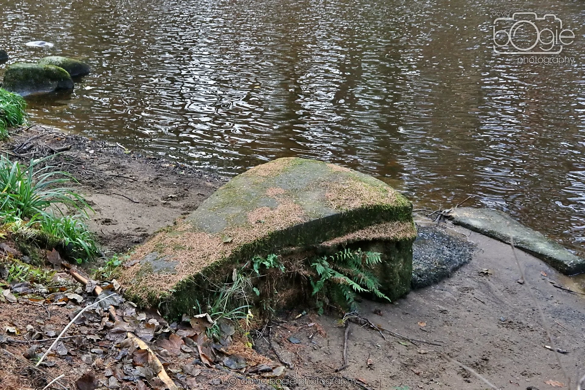 20251205 130332 East Calder 0079.JPG