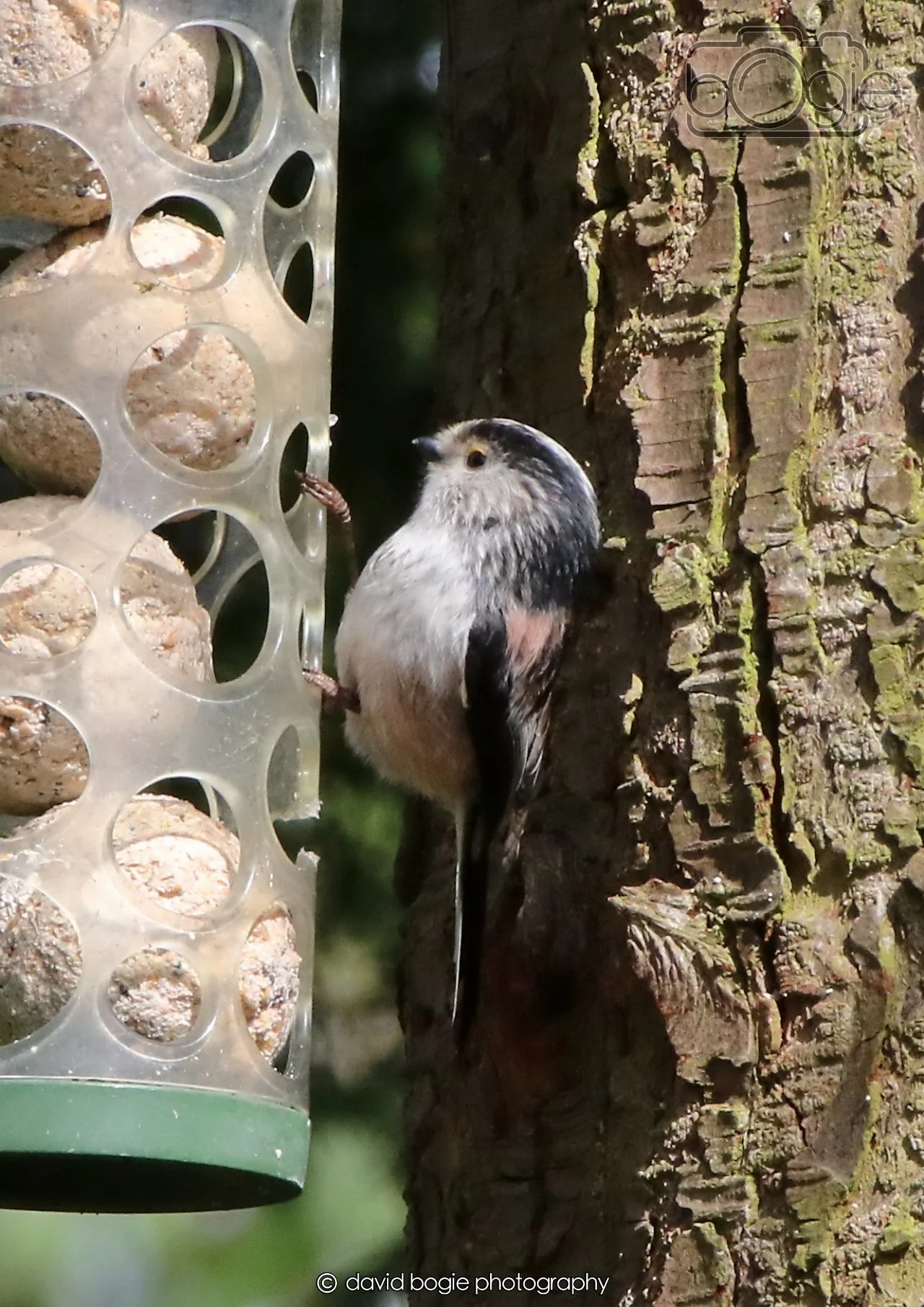 20260403 120456 Dunnikier 0009.jpg