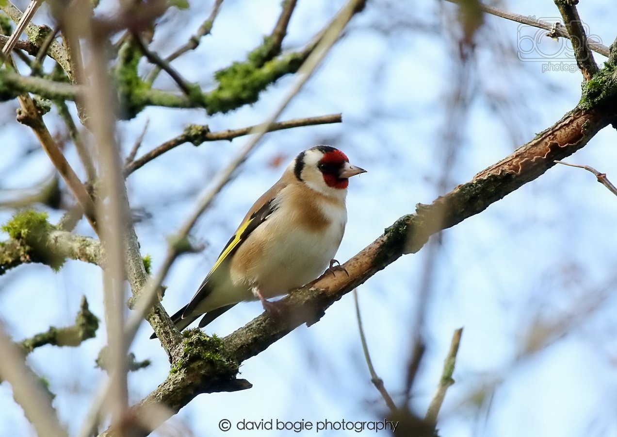 20260306 105341 Dunnikier 0121.jpg