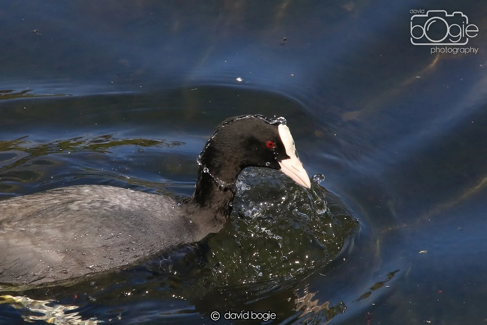 20250505 135115 Beveridge Park 0998.JPG