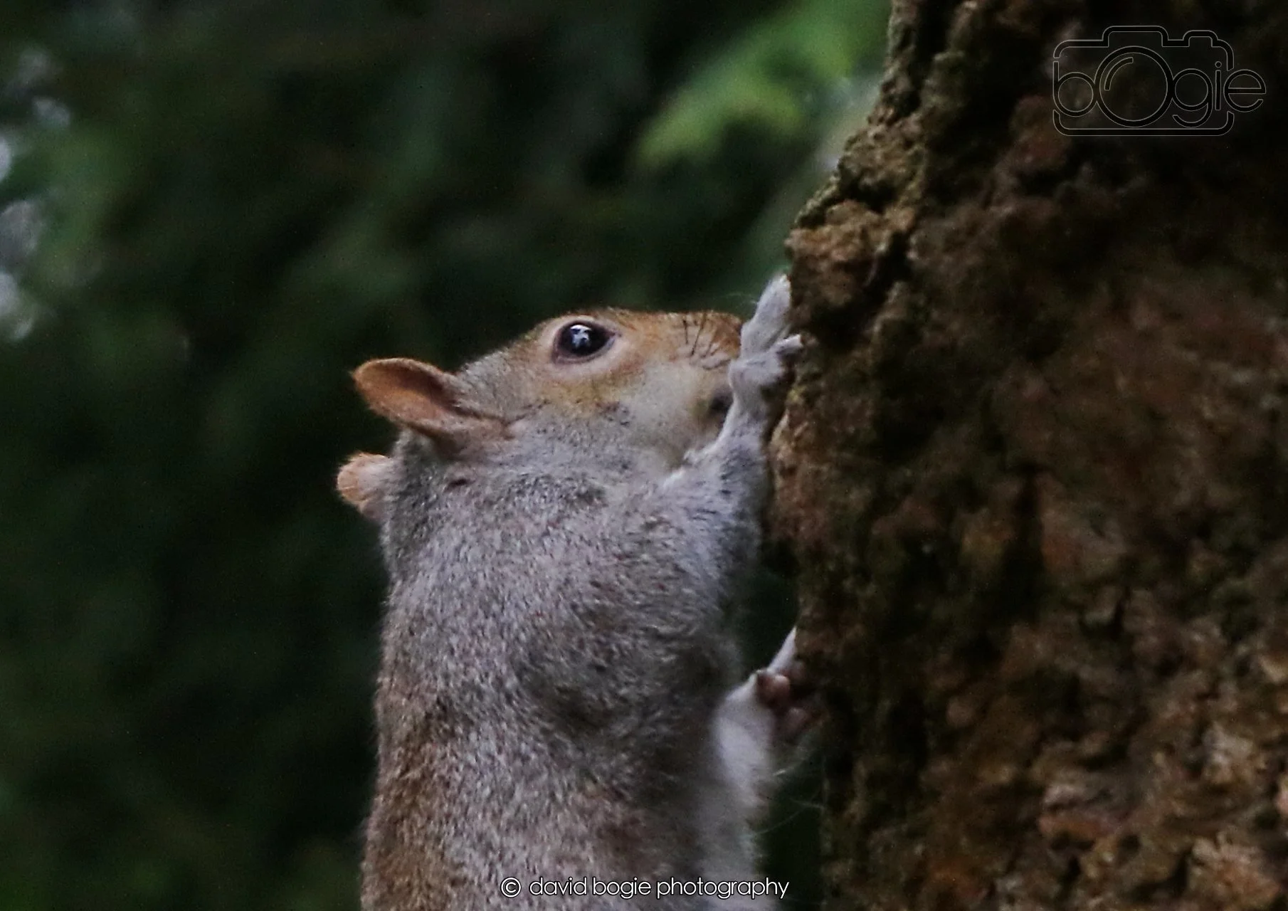 20260403 130517 Dunnikier 0370.jpg