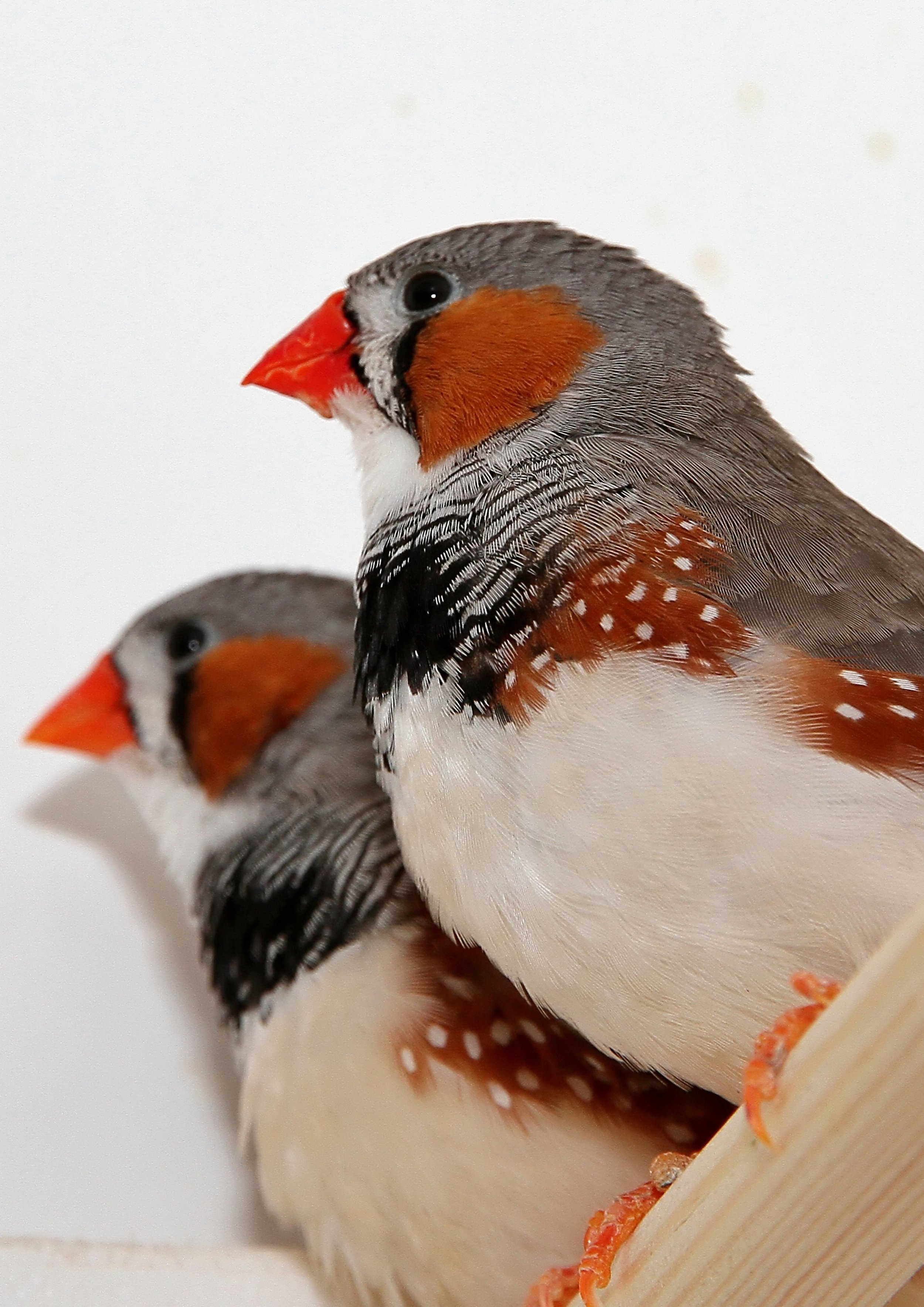 20260331 111919 K&S 0492.jpg