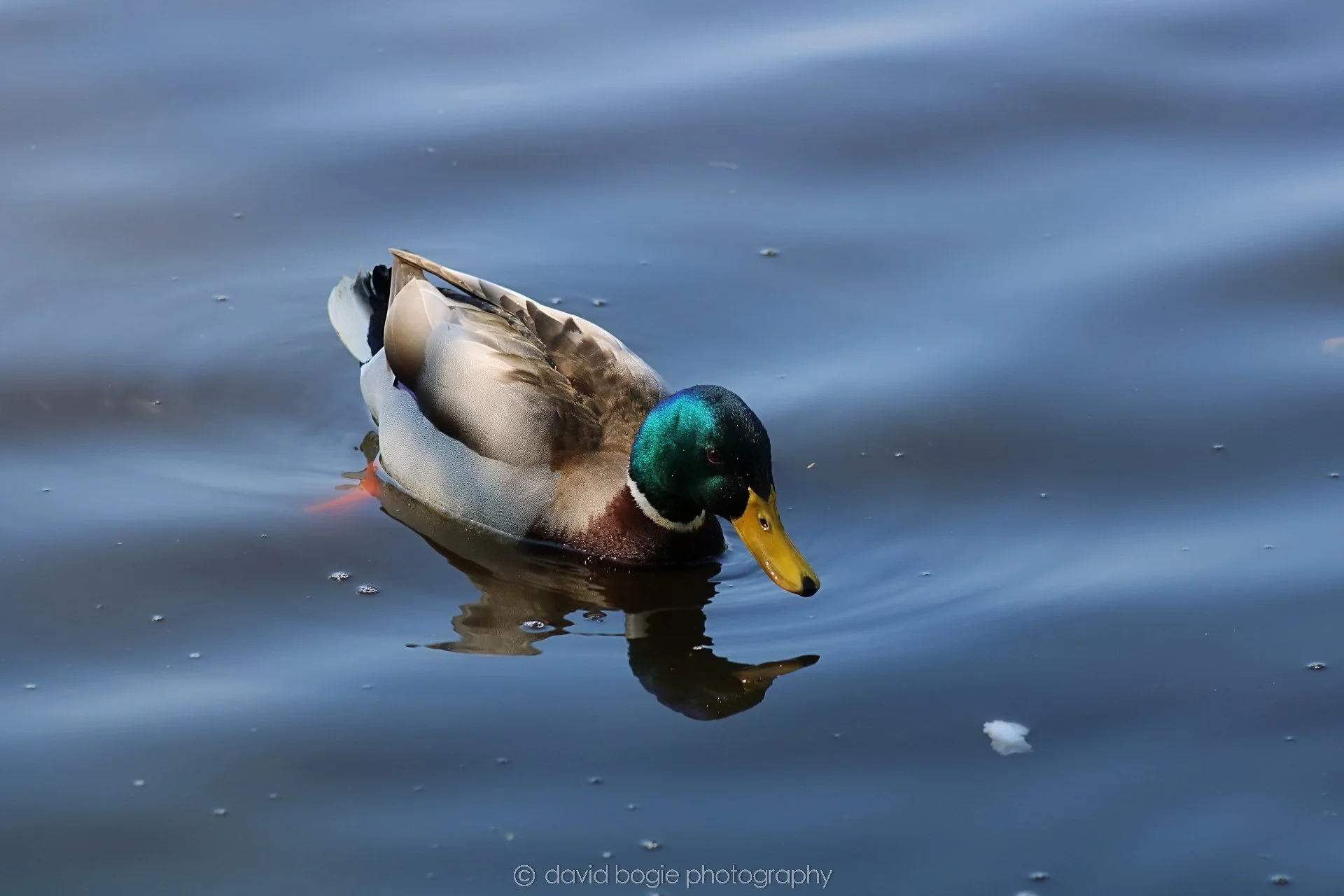 20190411 111311 Otterston 0009.jpg