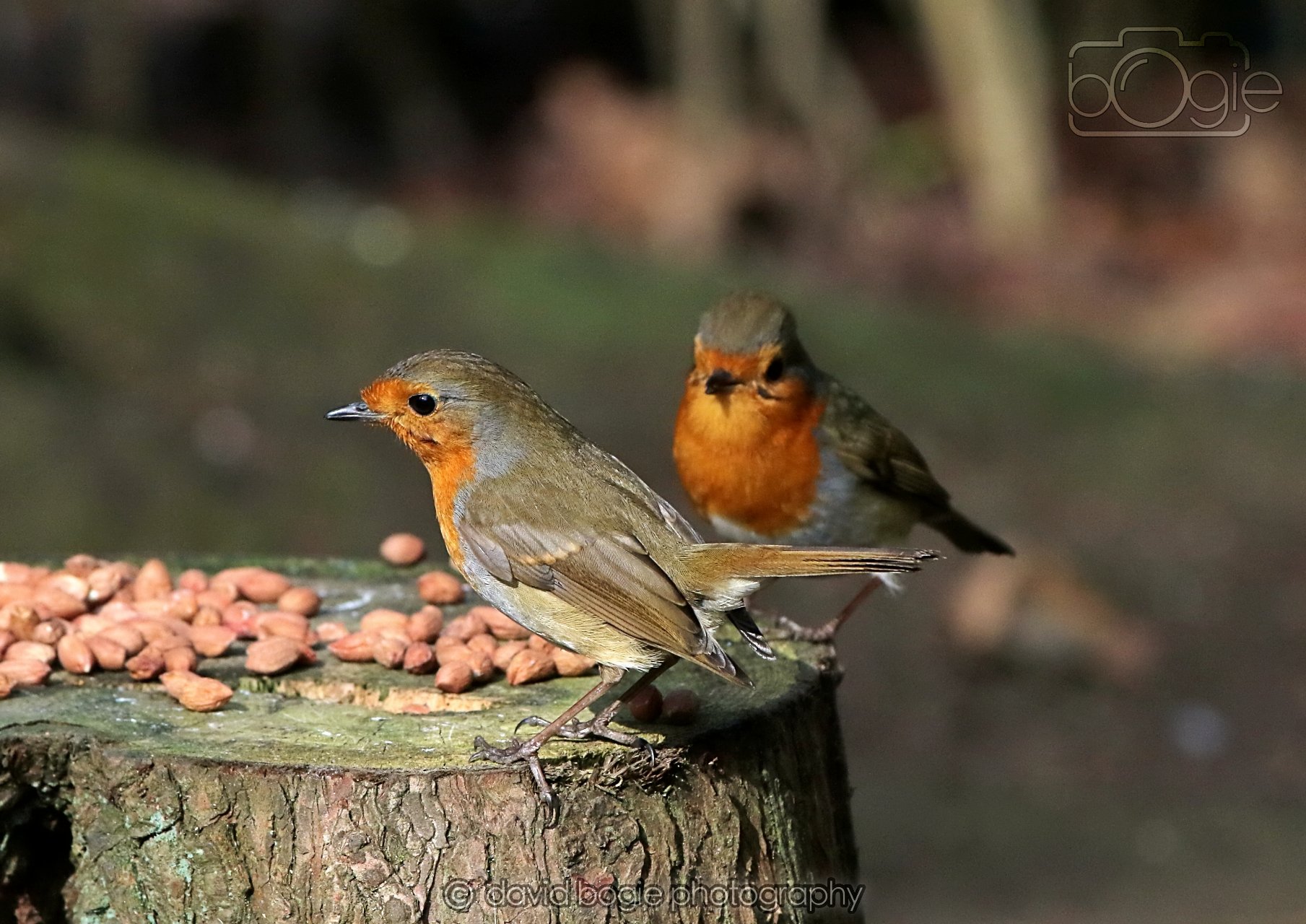 20260322 143330 Dunnikier 0016.jpg