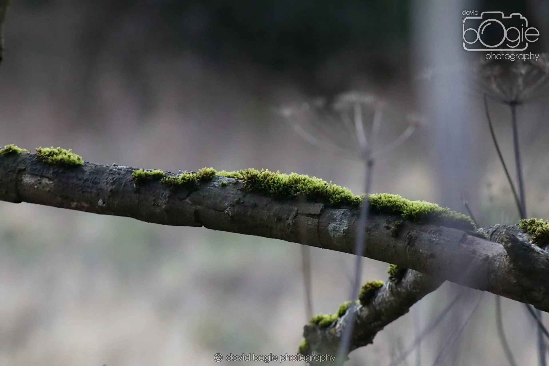 20251205 120102 East Calder 0036.JPG