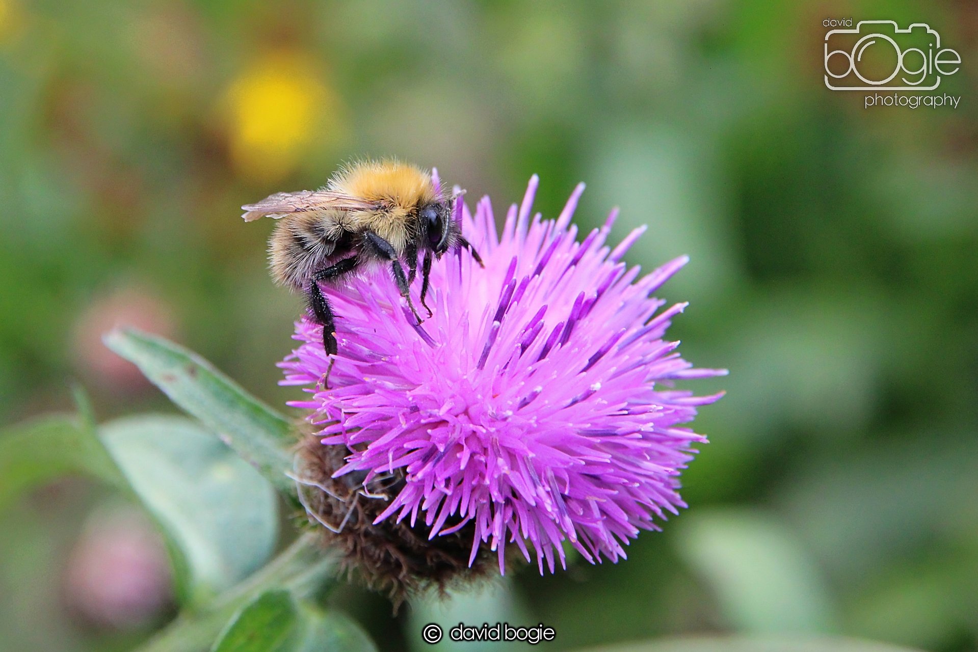 20220926 Beveridge Park14 .JPG