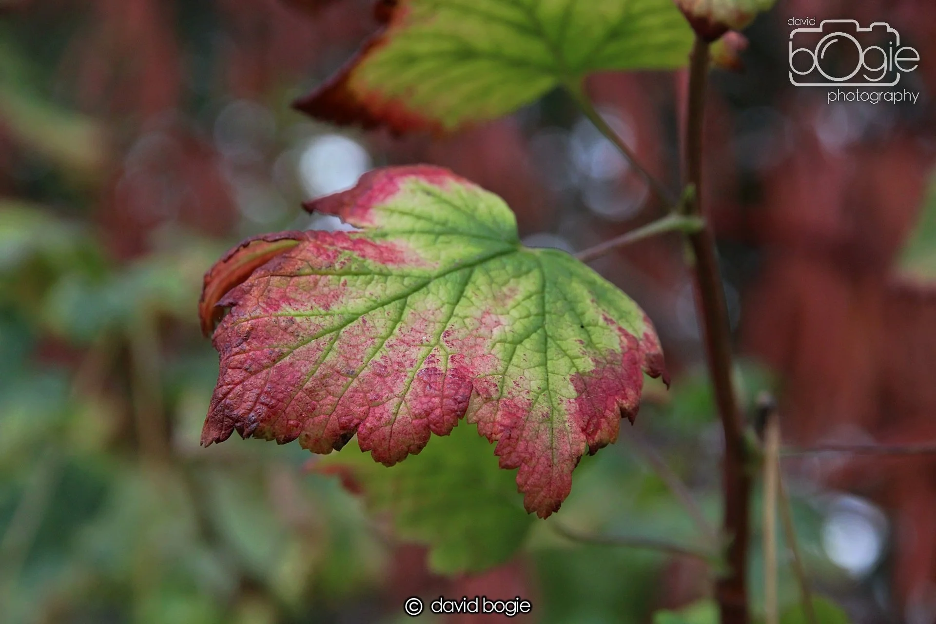 20220926 Beveridge Park18 .JPG