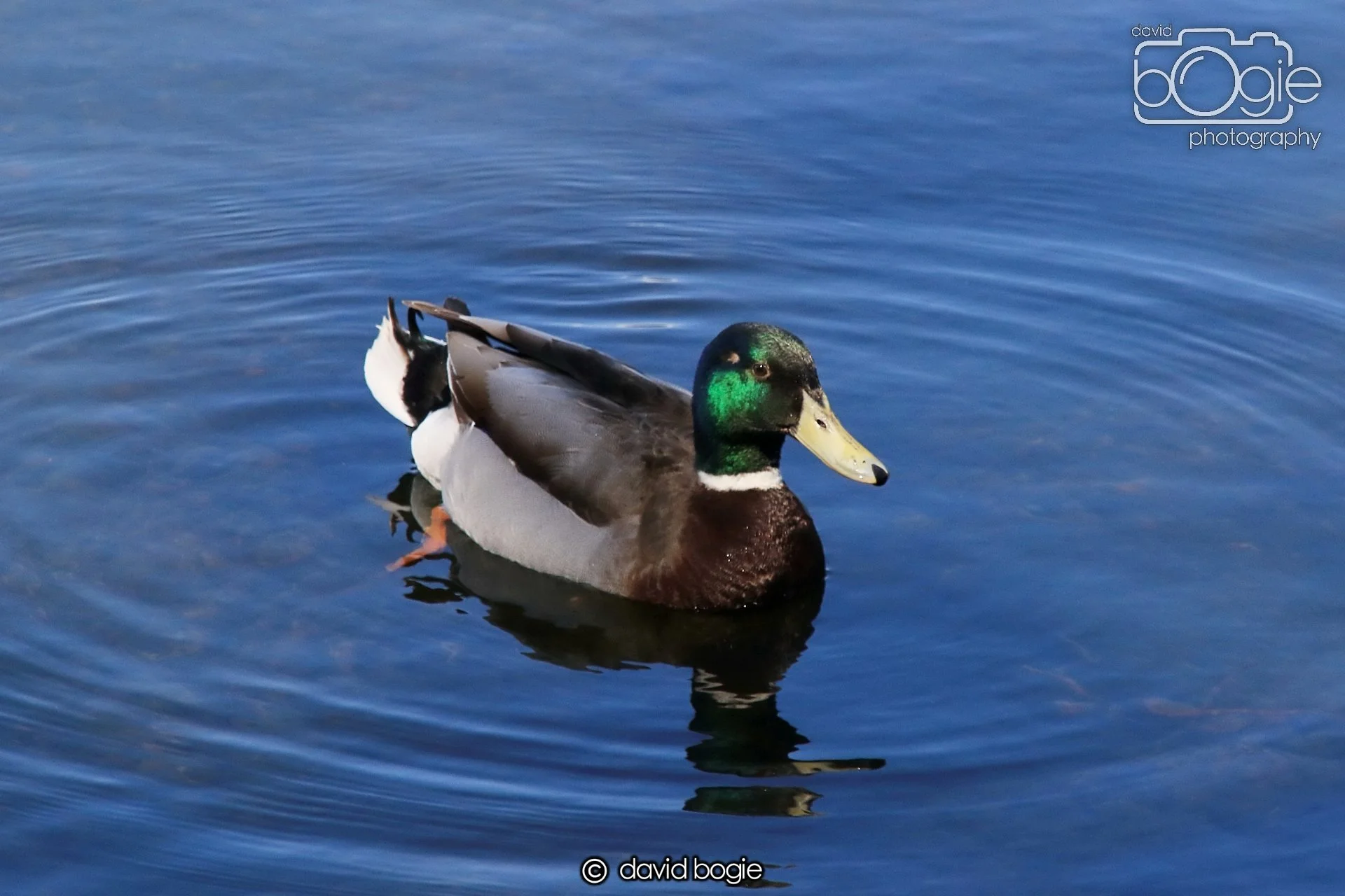 20250505 141249 Beveridge Park 1100.JPG