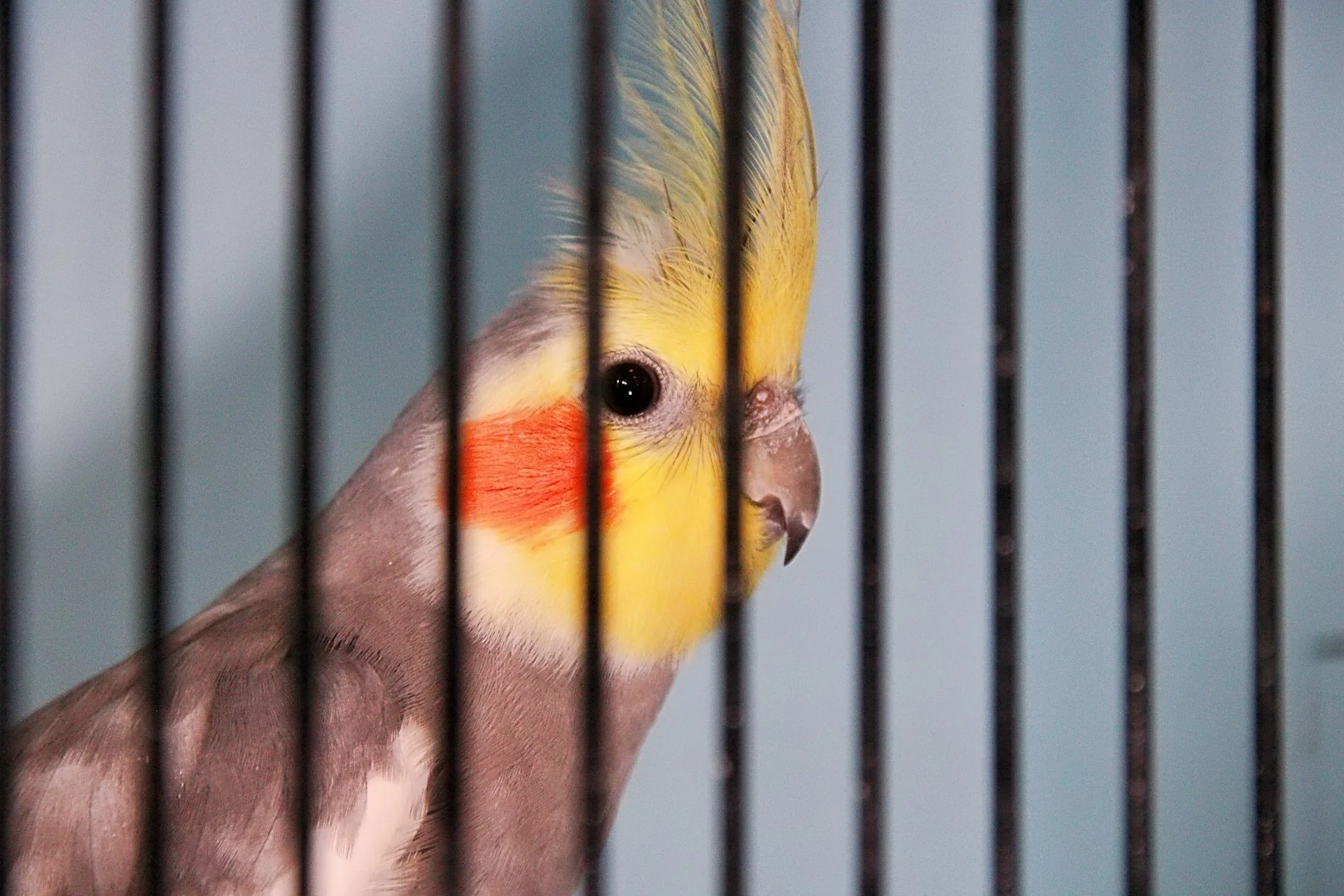 20241103 131609 MCBS Show 0513.JPG