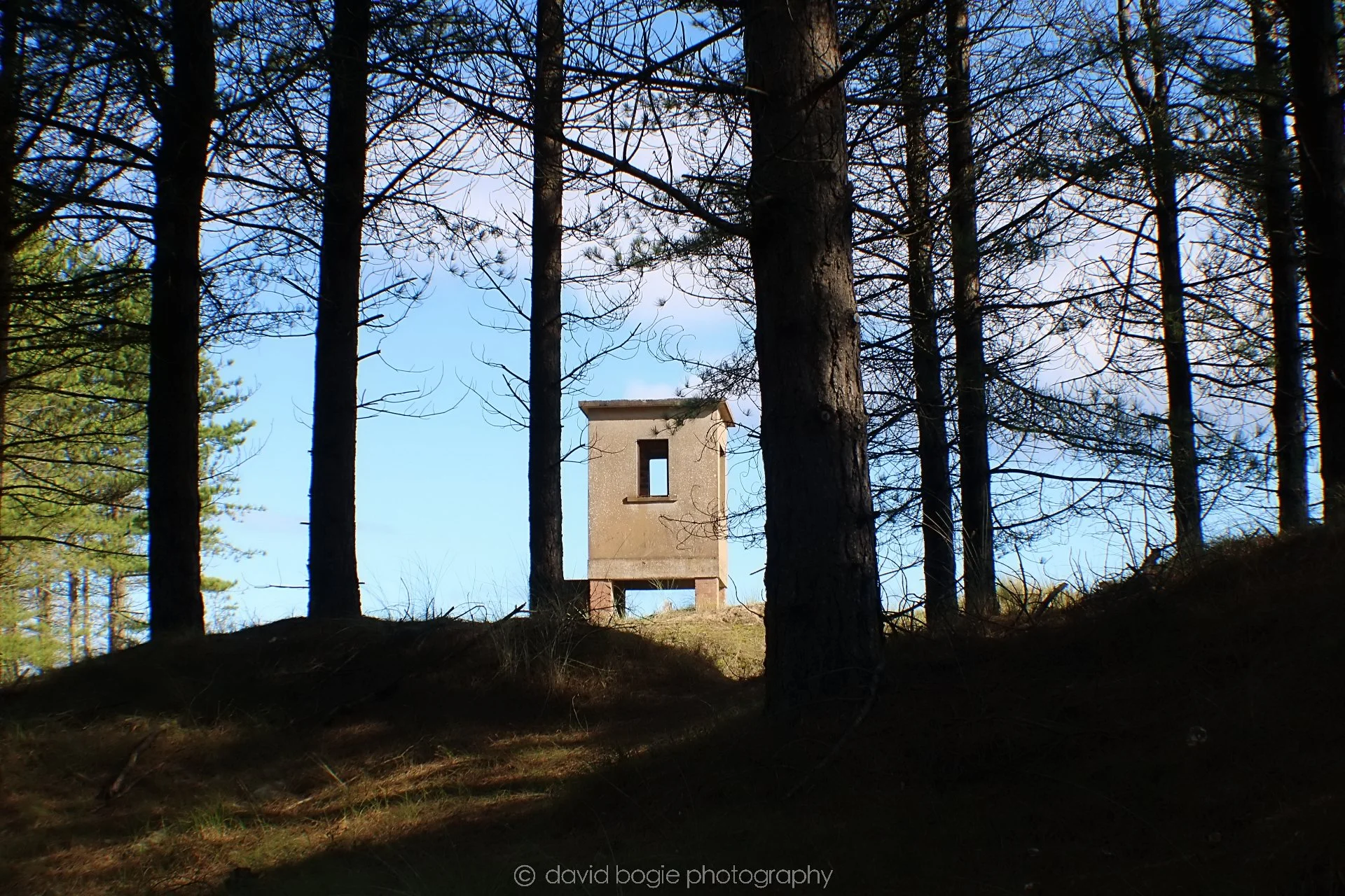 20191002 121211 Tentsmuir 0003.jpg