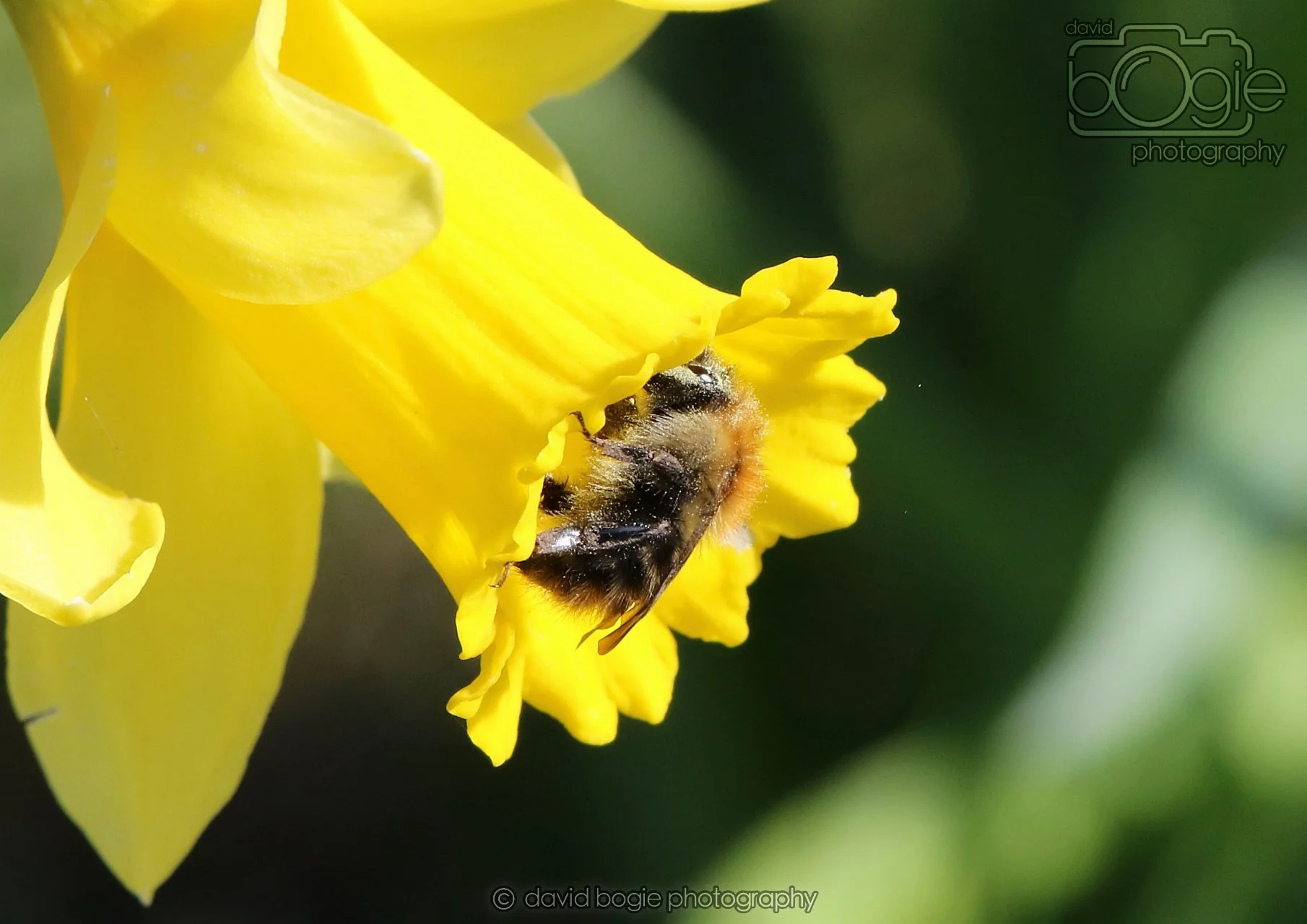 20260319 115353 Beveridge Park 0199.jpg