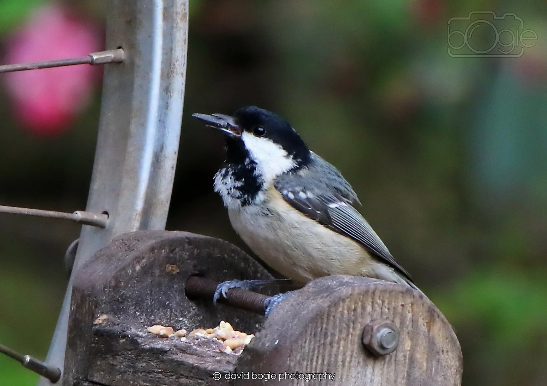 20260326 123737 Silverburn 0505.jpg