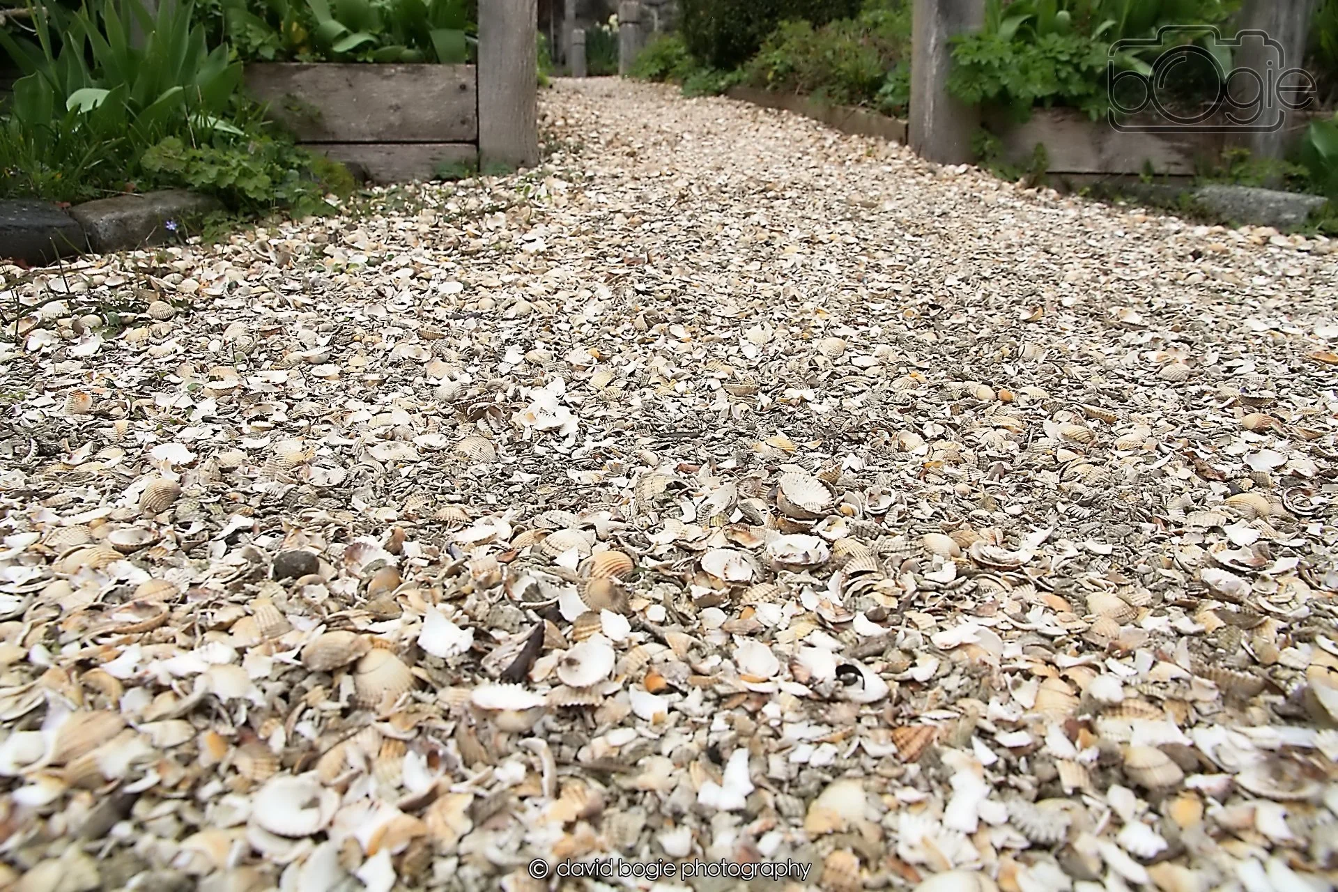 20260401 121007 Culross 0075.jpg