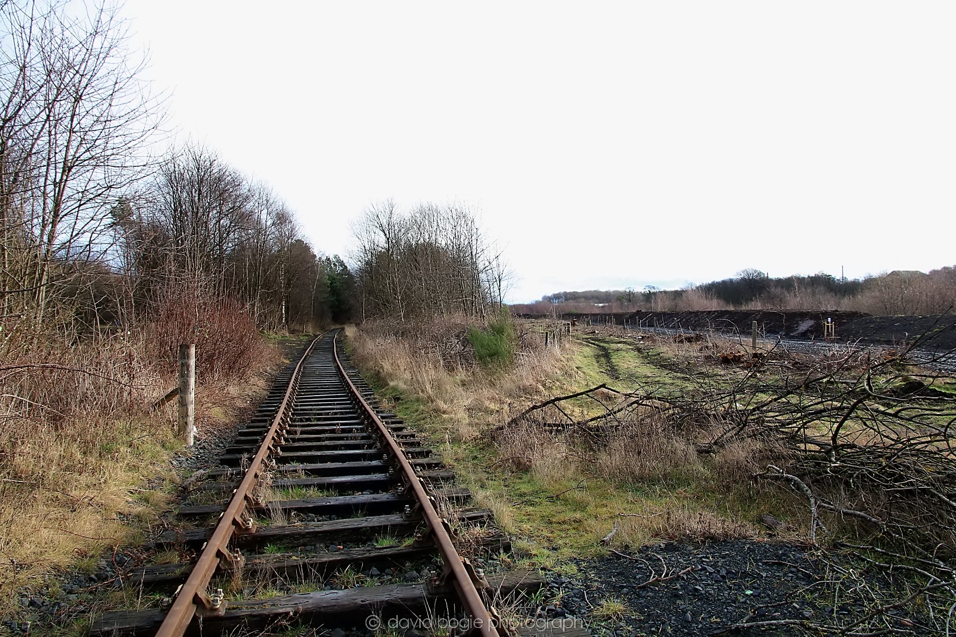 YEAR20220202 Levenmouth 00017.jpg