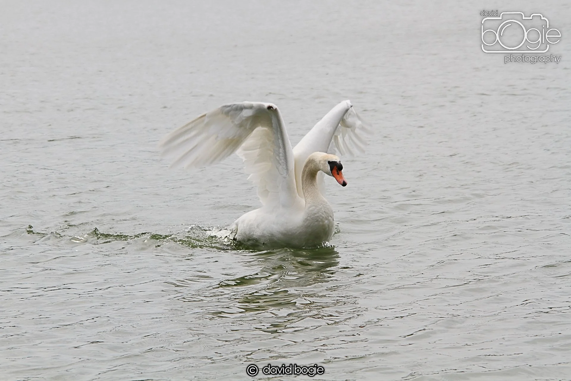 20230618 Kinghorn Loch 120810 0175.jpg