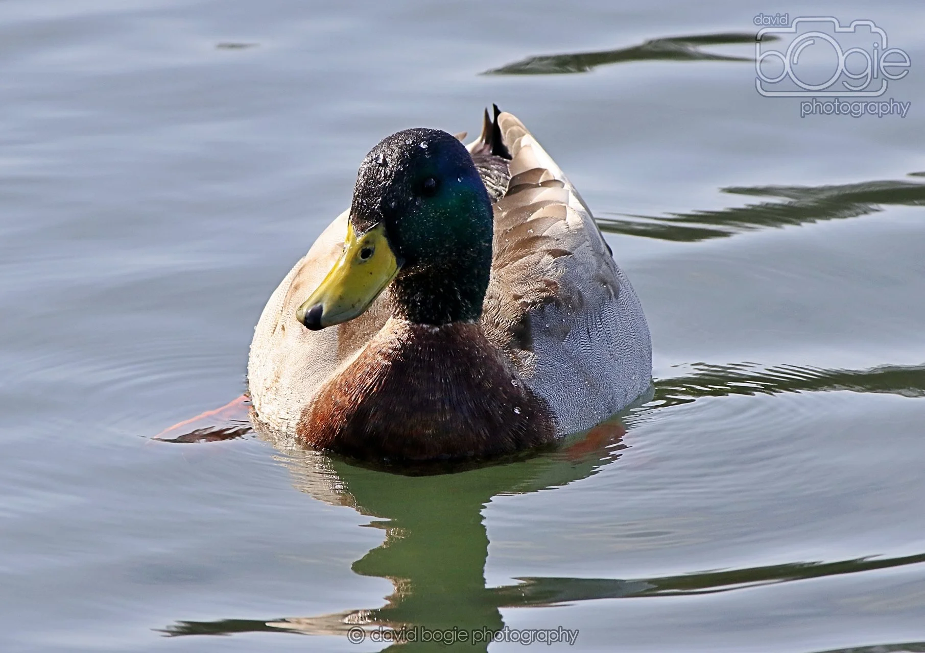 20260319 132143 Beveridge Park 0413.jpg