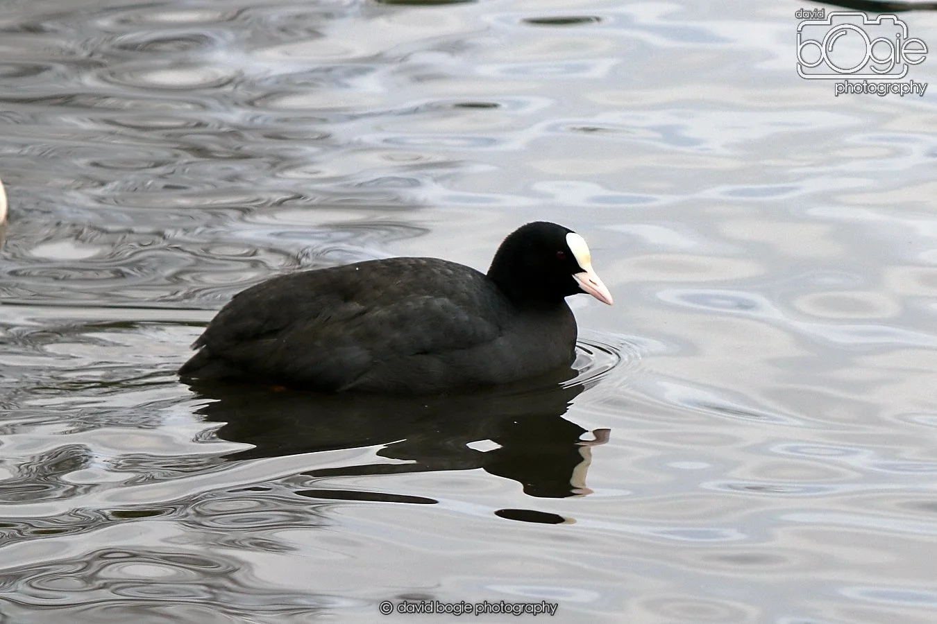 20260114 125315 Beveridge Park 0175.JPG