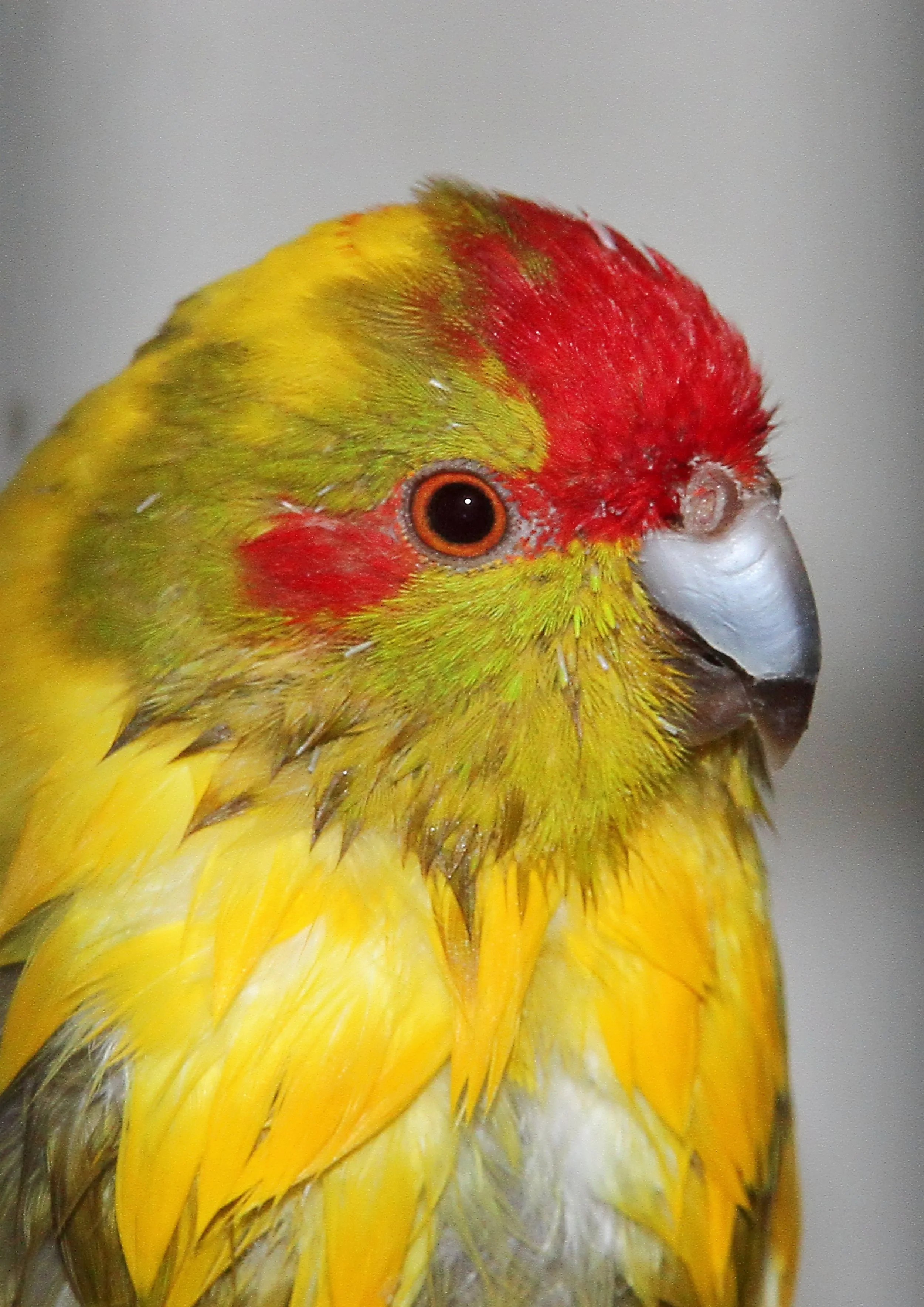 20260403 135253 IMG_0134.jpg