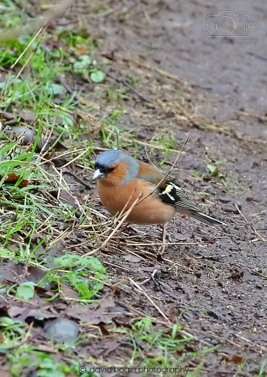 20260306 091045 Dunnikier 0029.jpg