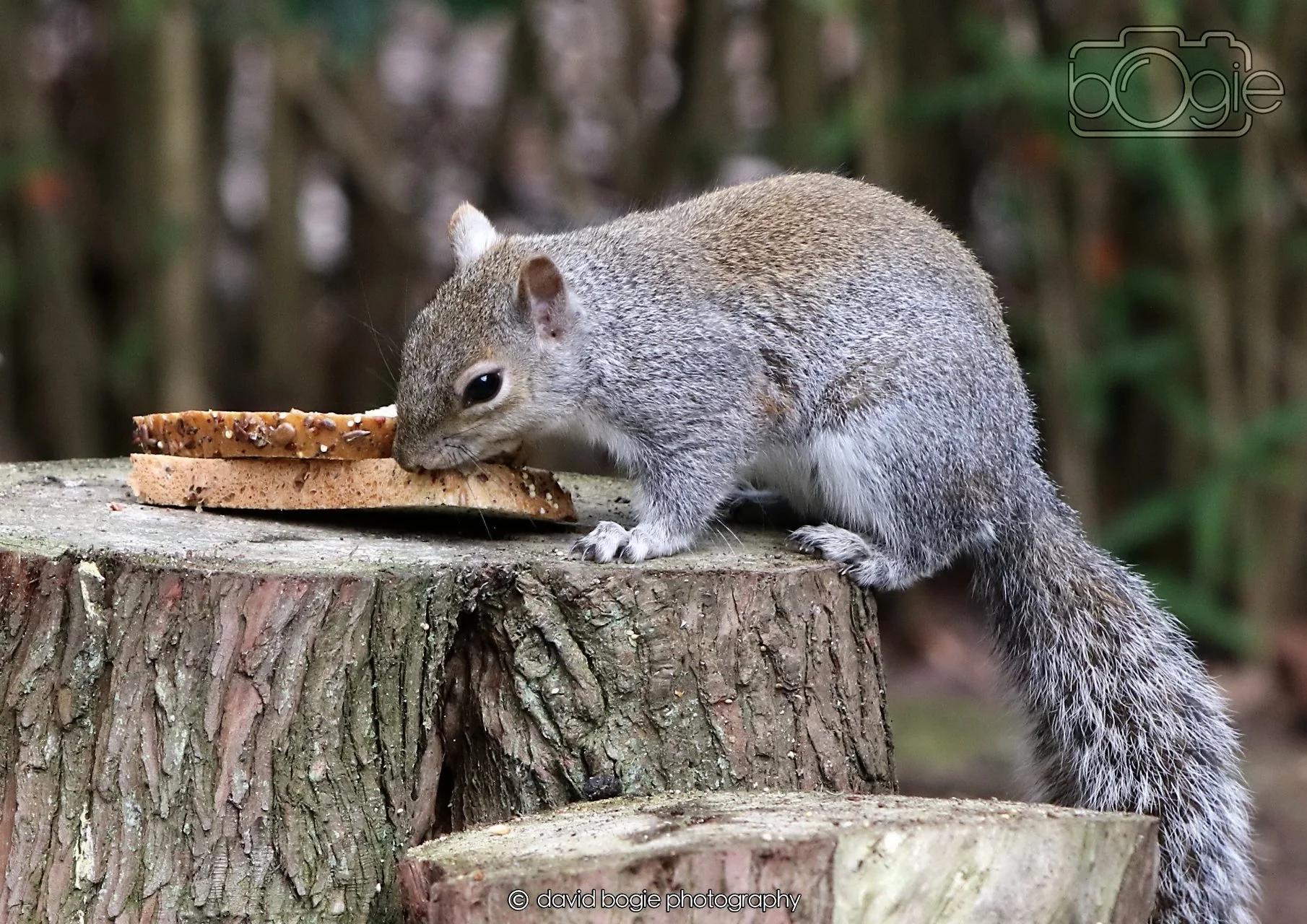 20260330 112701 Dunnikier 0169.jpg