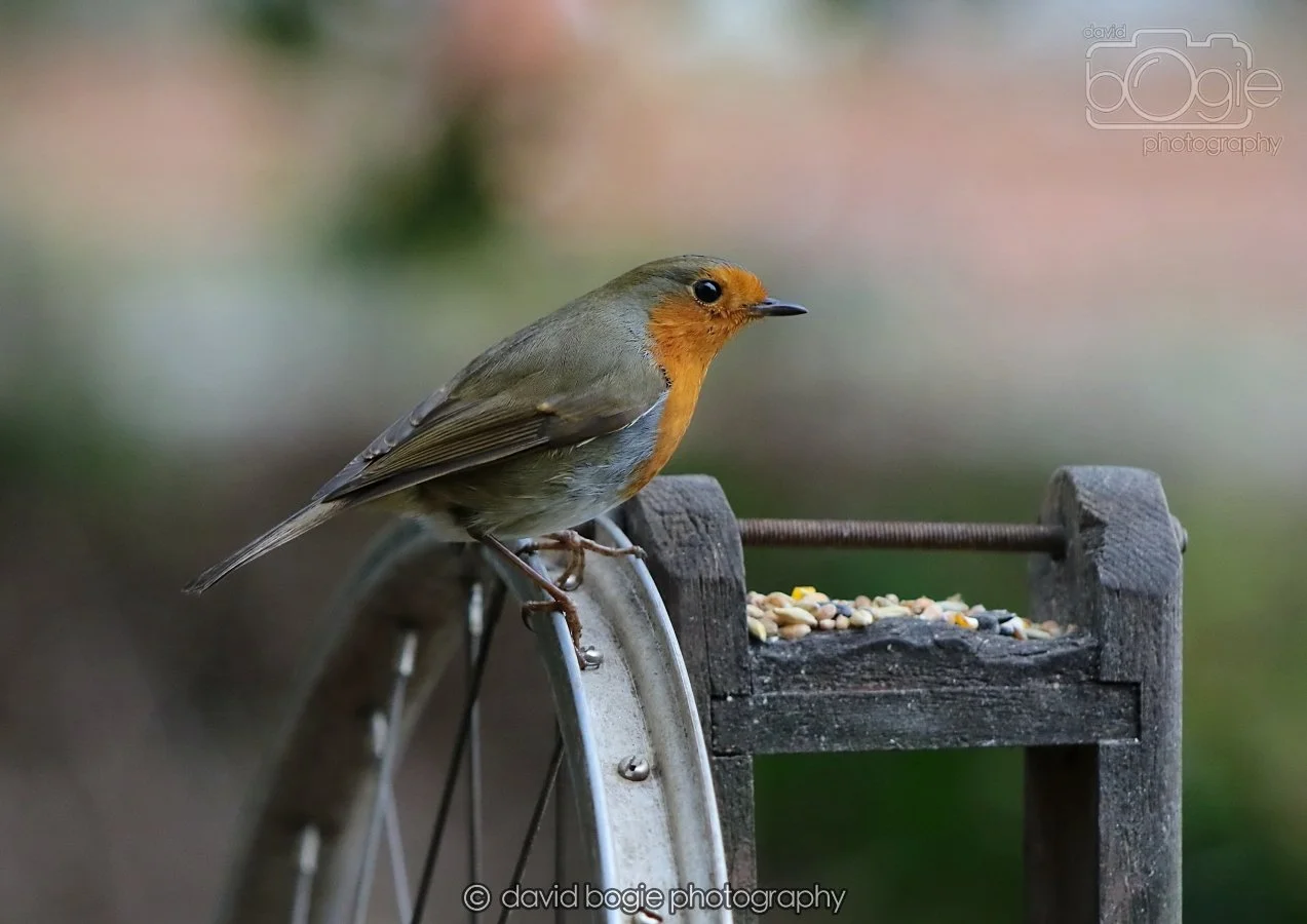 20260215 131552 Silverburn 0062.jpg