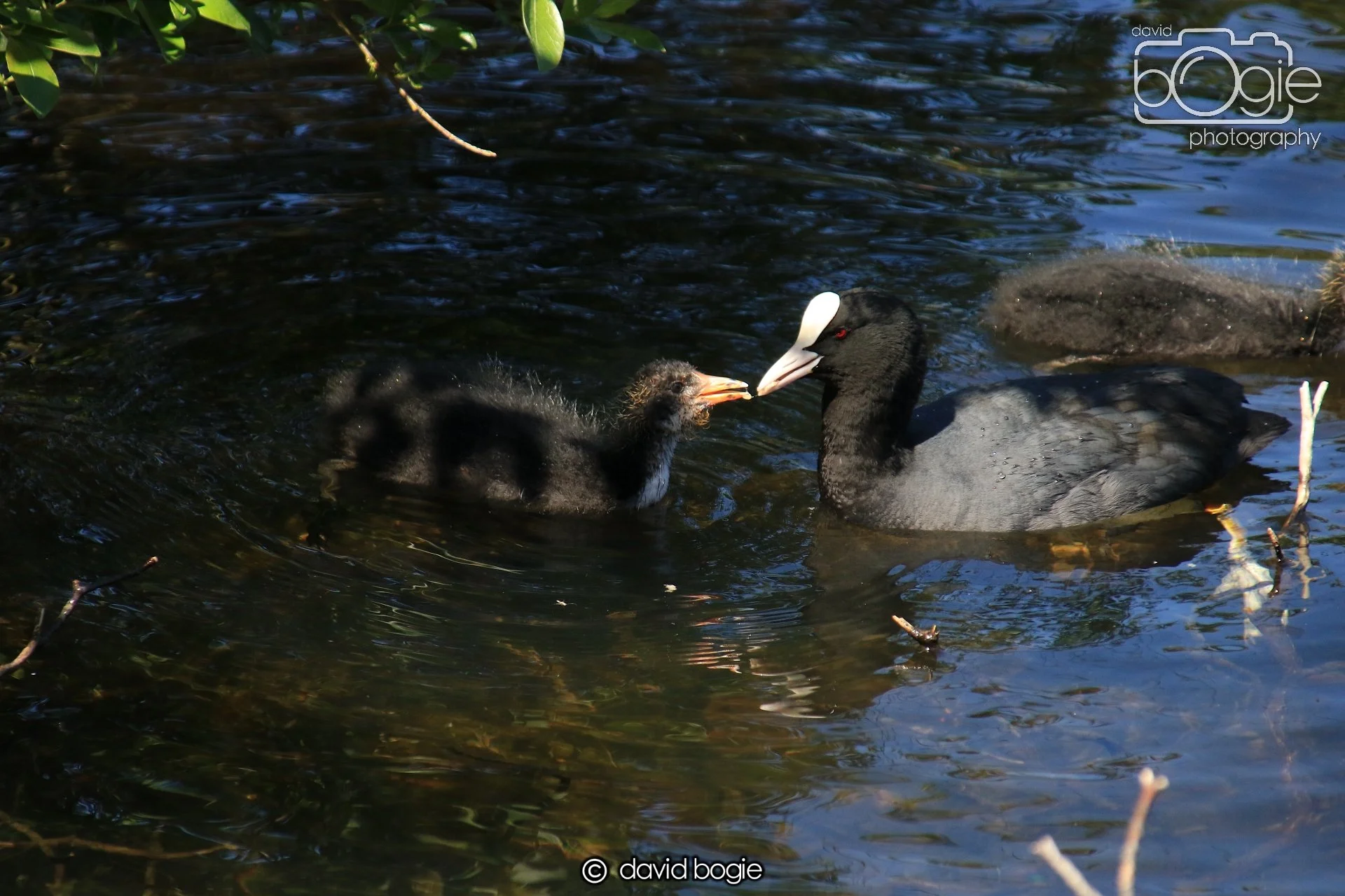 20250517 124424 Beveridge Park 0556.JPG