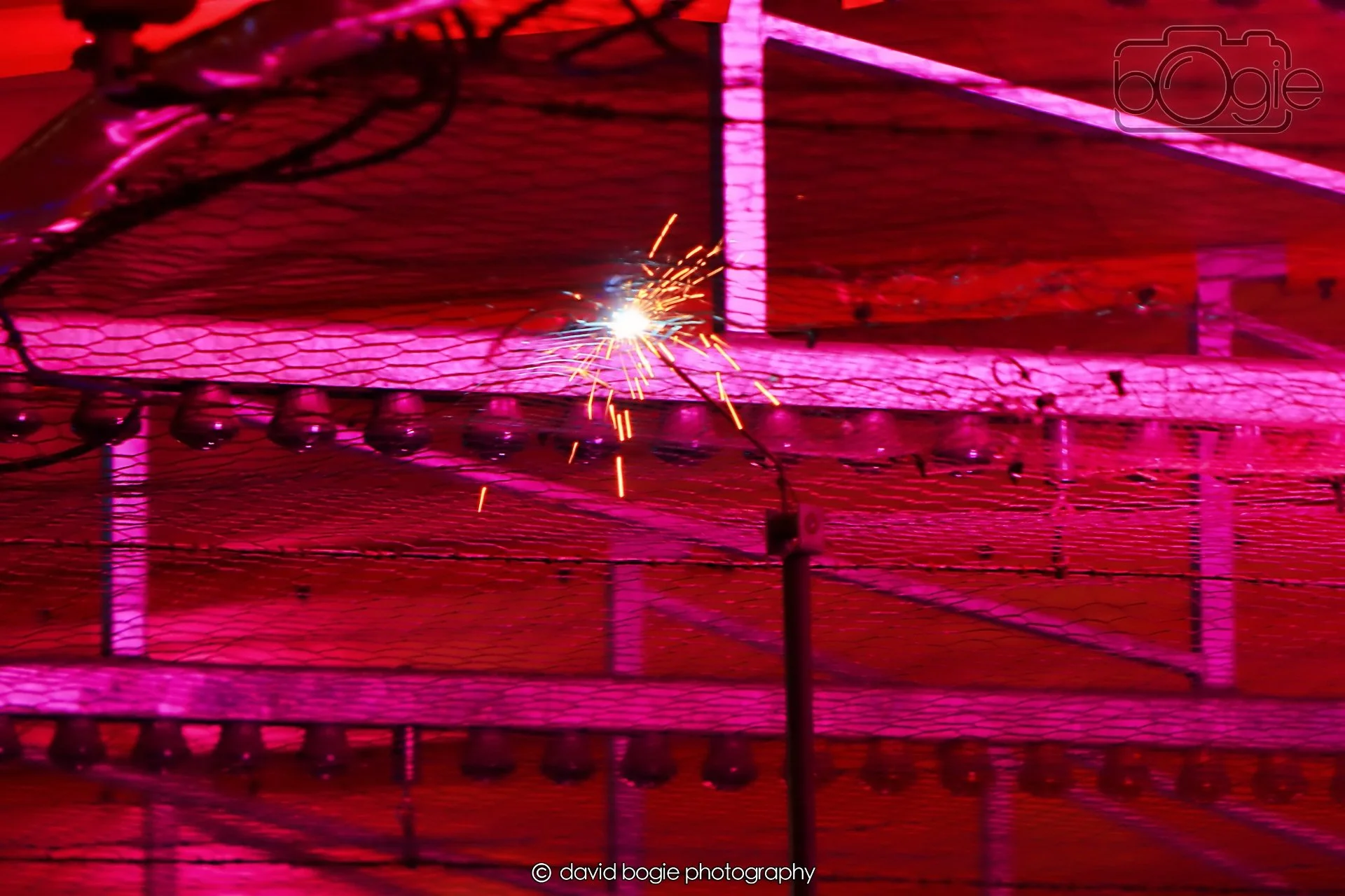 20260416 194347 Links Market0433.jpg