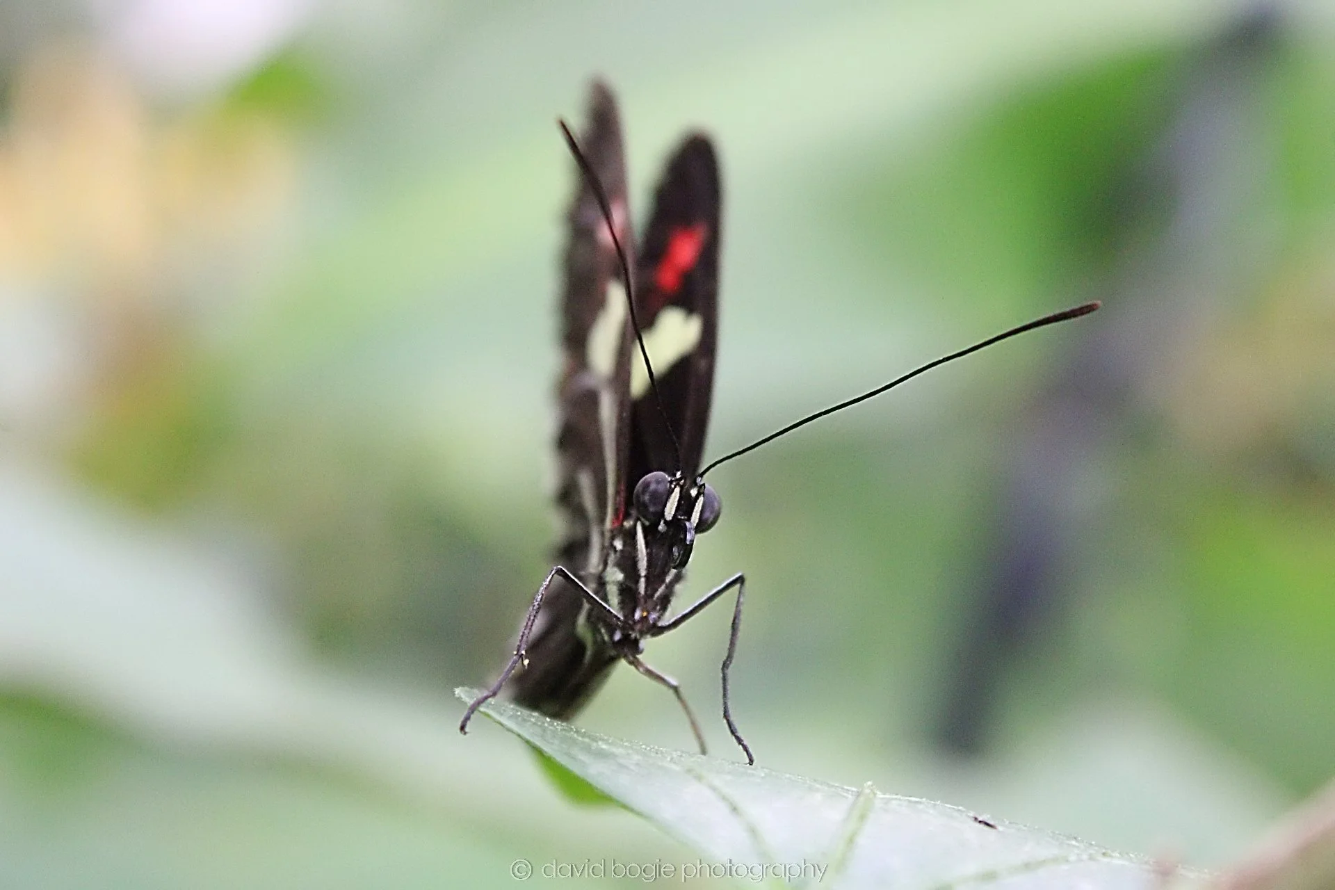 20191019 124002 Butterfly World 0020.jpg
