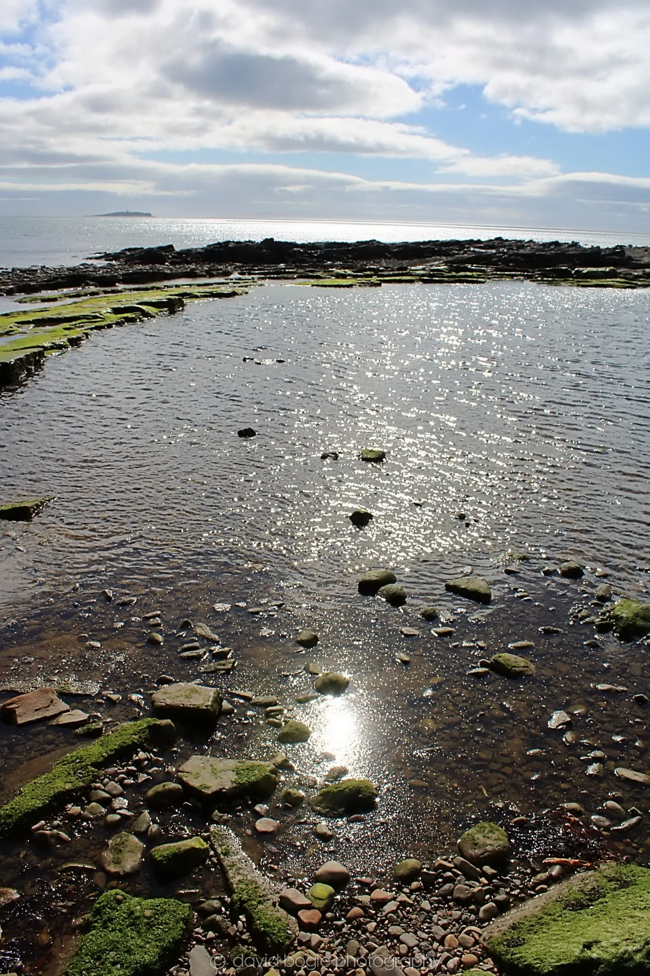 20190326 114556 Crail 0007.jpg