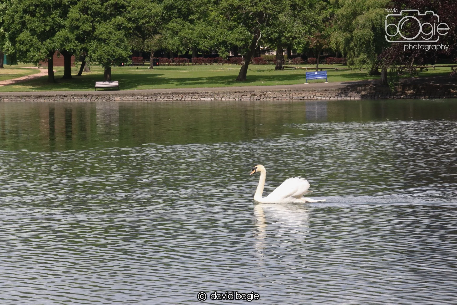 20250613 114320 Beveridge 0020.JPG