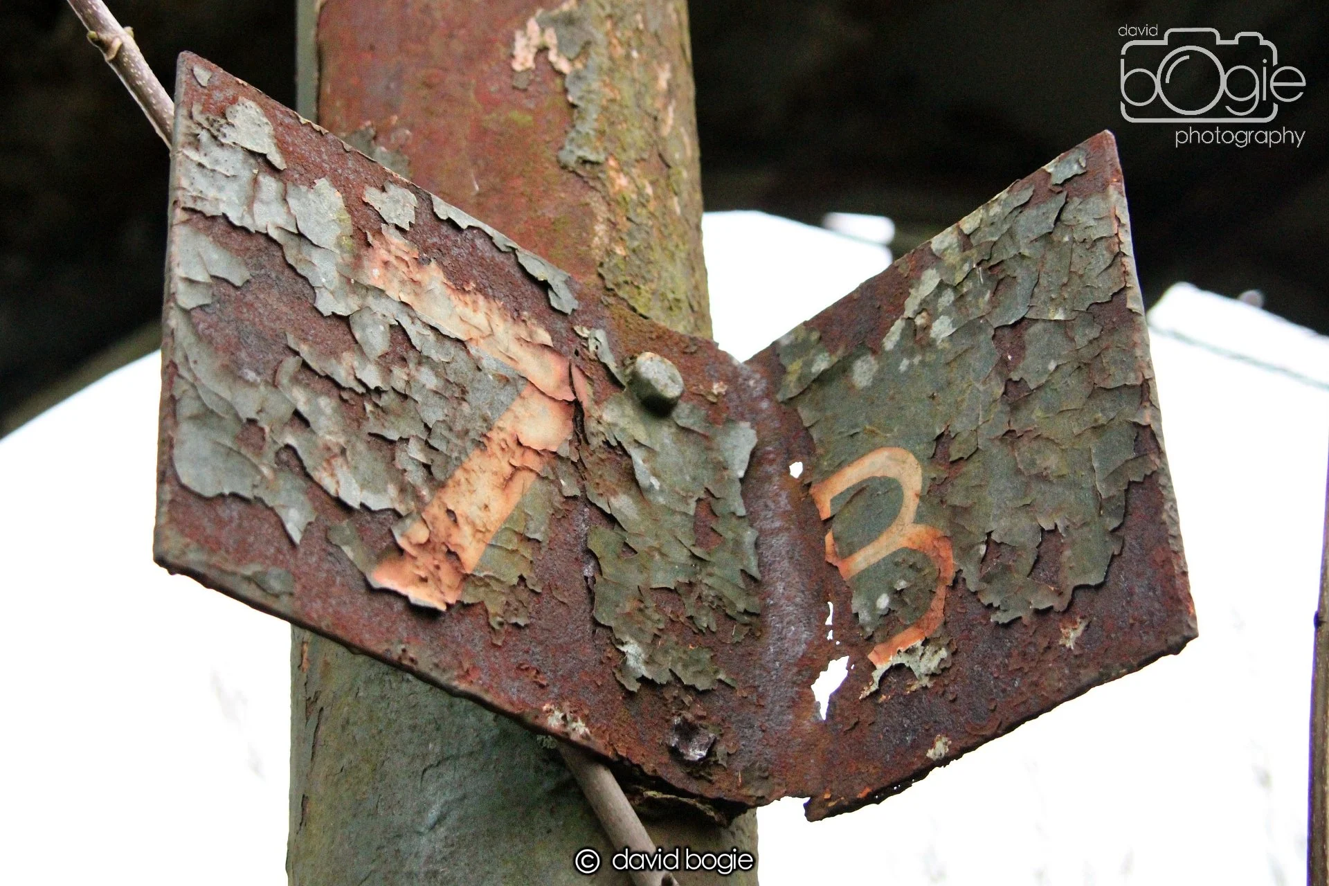 20220108 Dunfermline 00013.JPG