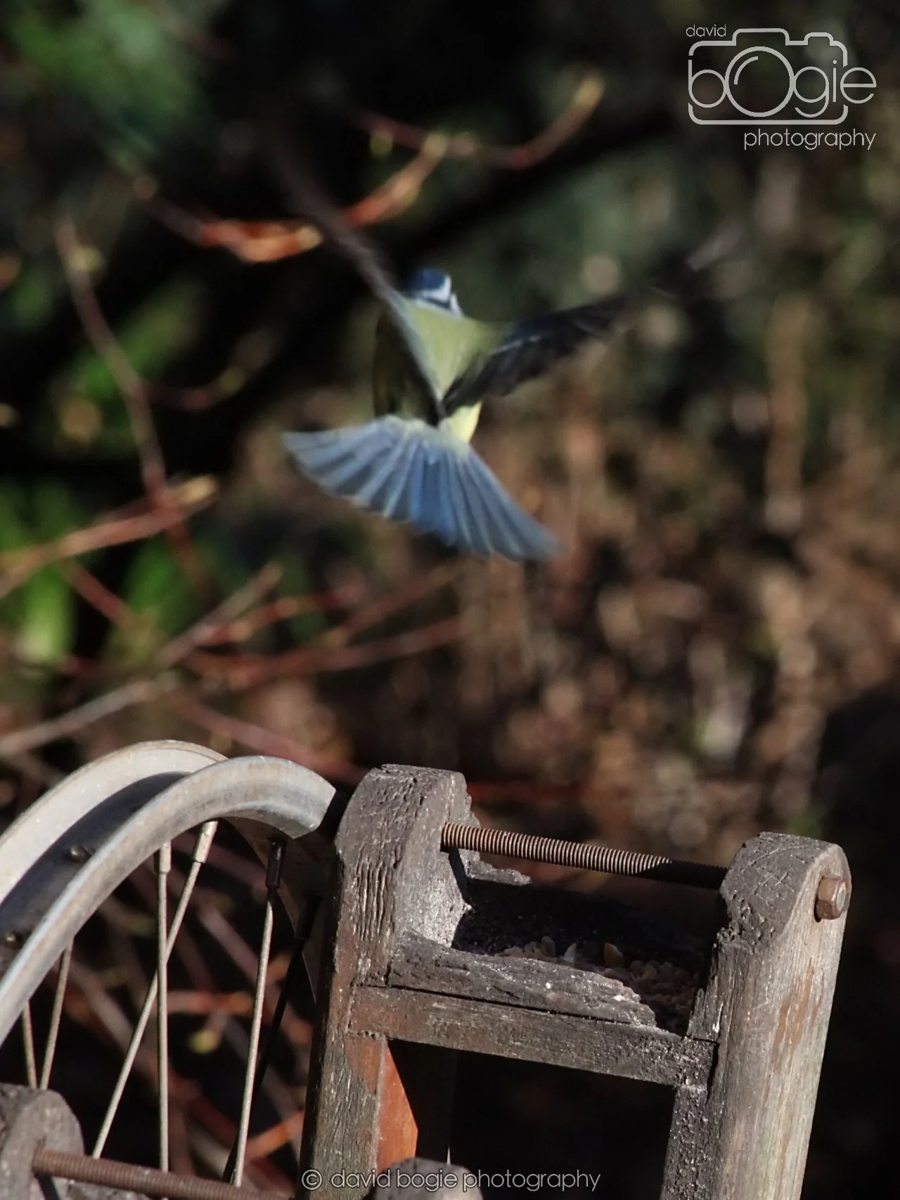 20251125 135459 Silverburn 0256.JPG