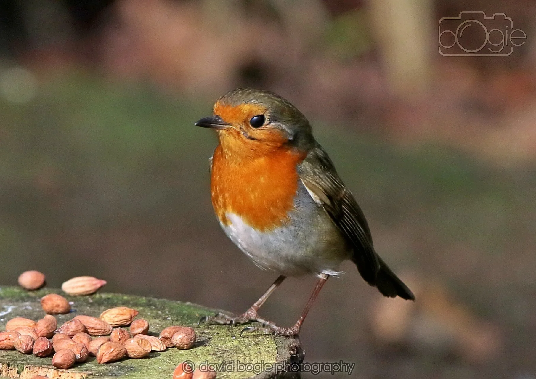 20260322 143327 Dunnikier 0010.jpg