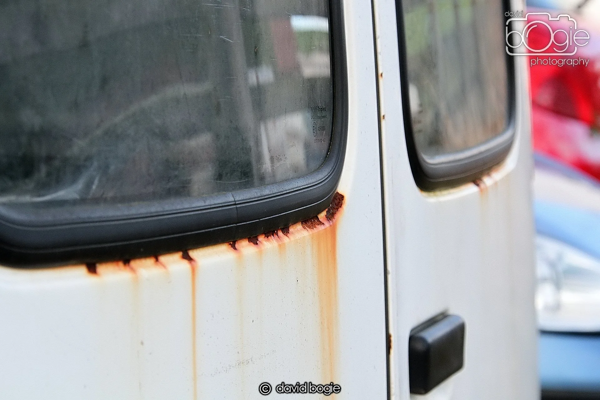 20250129 131058 Reekies 0128.JPG