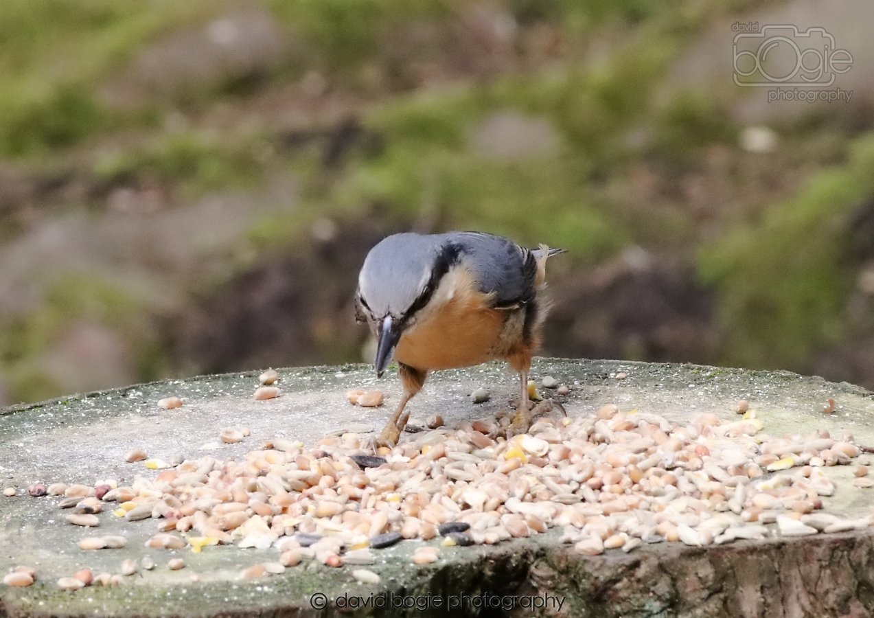 20260309 120711 Dunnikier 0600.jpg