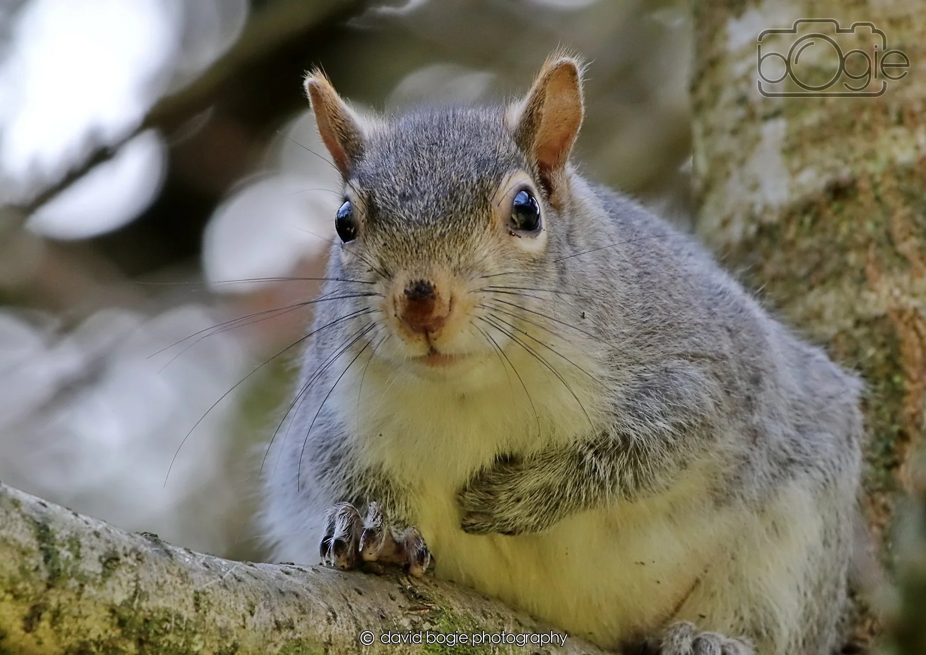 20260402 122915 Ravenscraig 0374.jpg