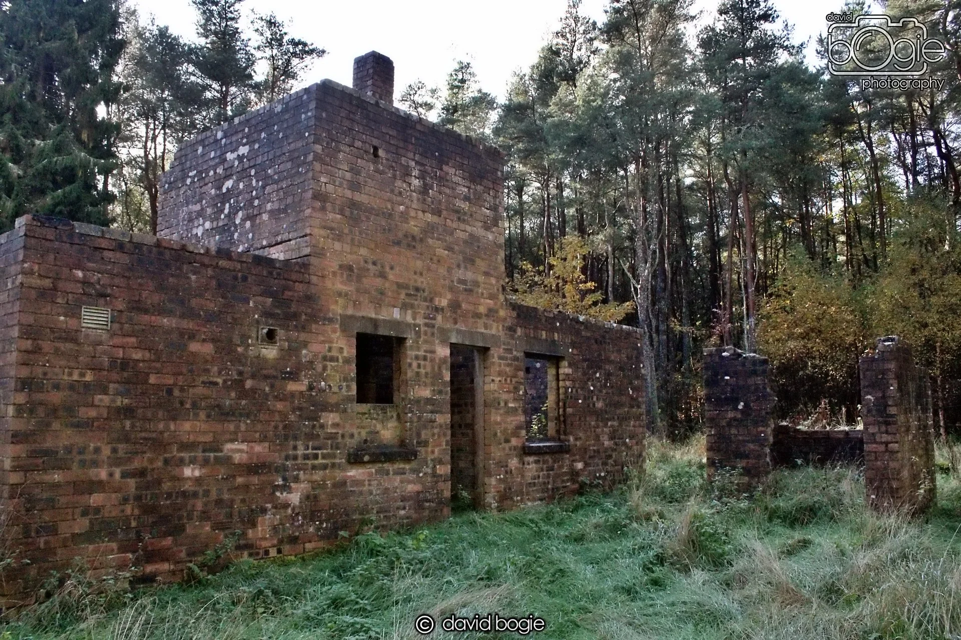 20191014 133133 Tentsmuir 0033.JPG