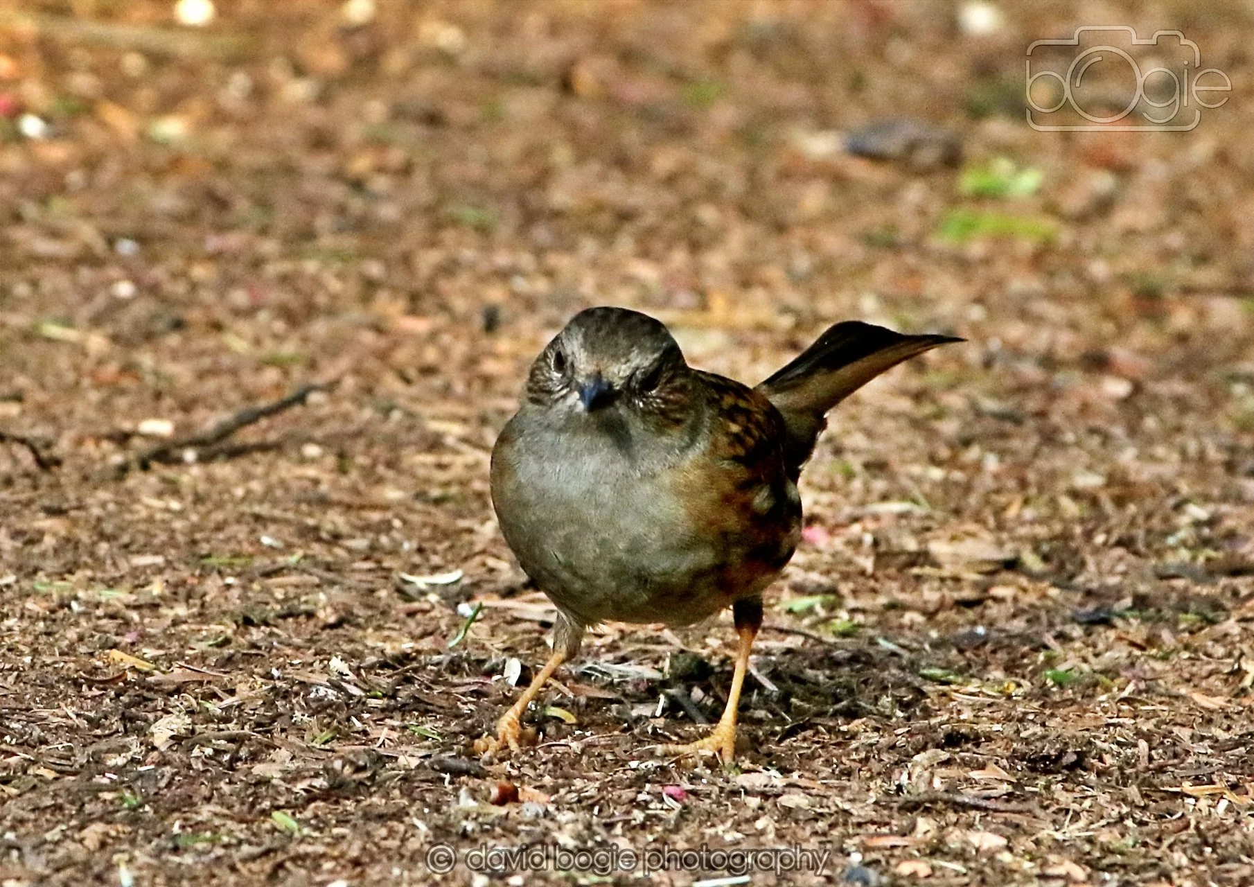 20260322 144500 Dunnikier 0121.jpg