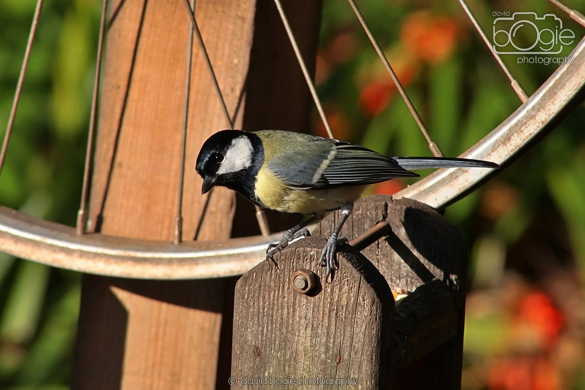 20251125 134050 Silverburn 0140.JPG