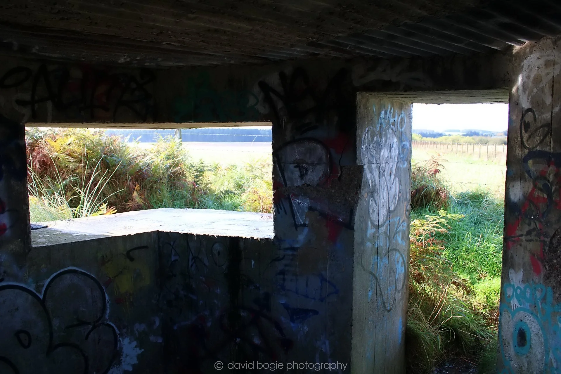 20191014 115610 Tentsmuir 0036.jpg