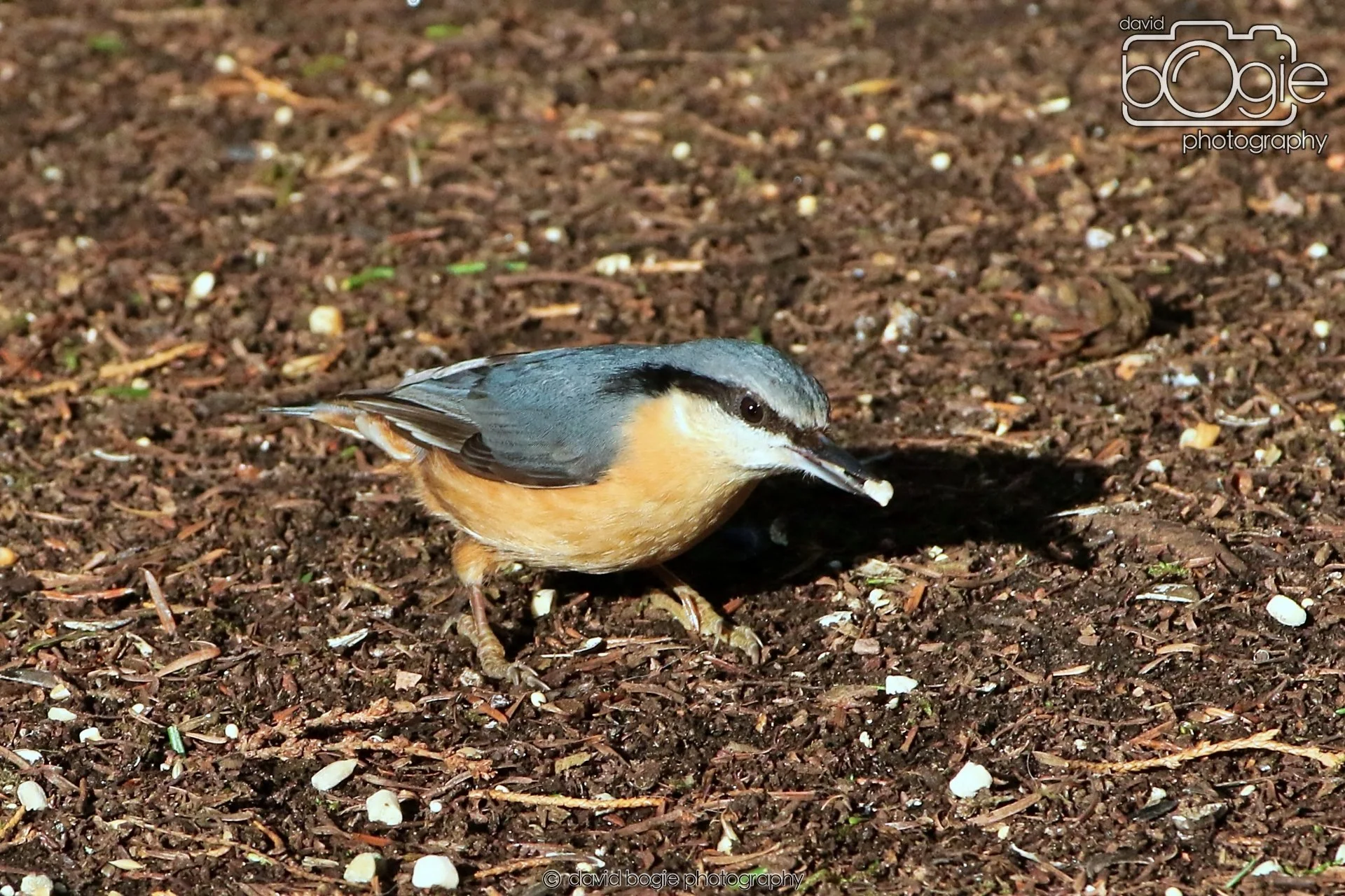 20260128 132730 Dunnikier 0188.JPG