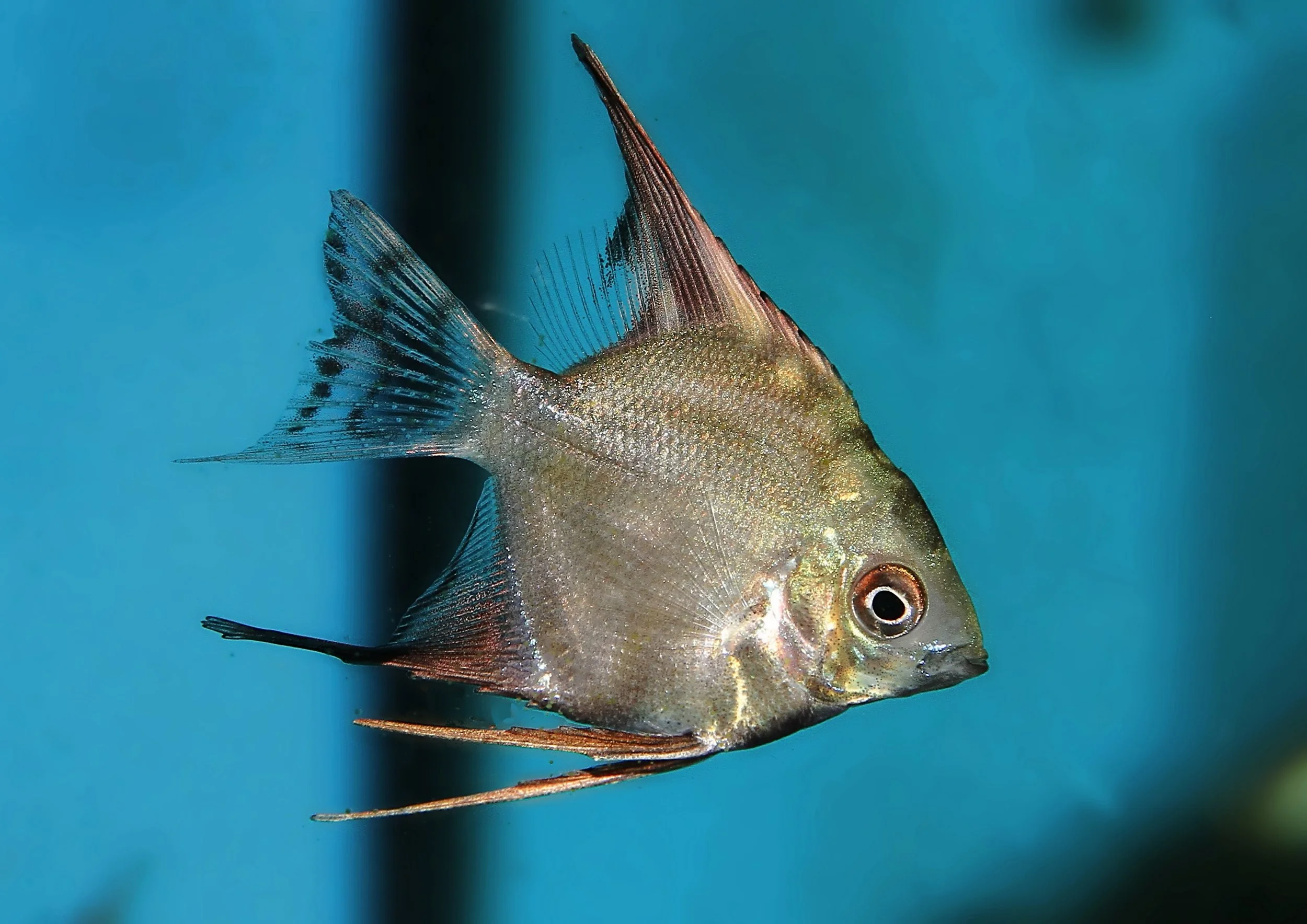 20260403 140720 IMG_0139.jpg