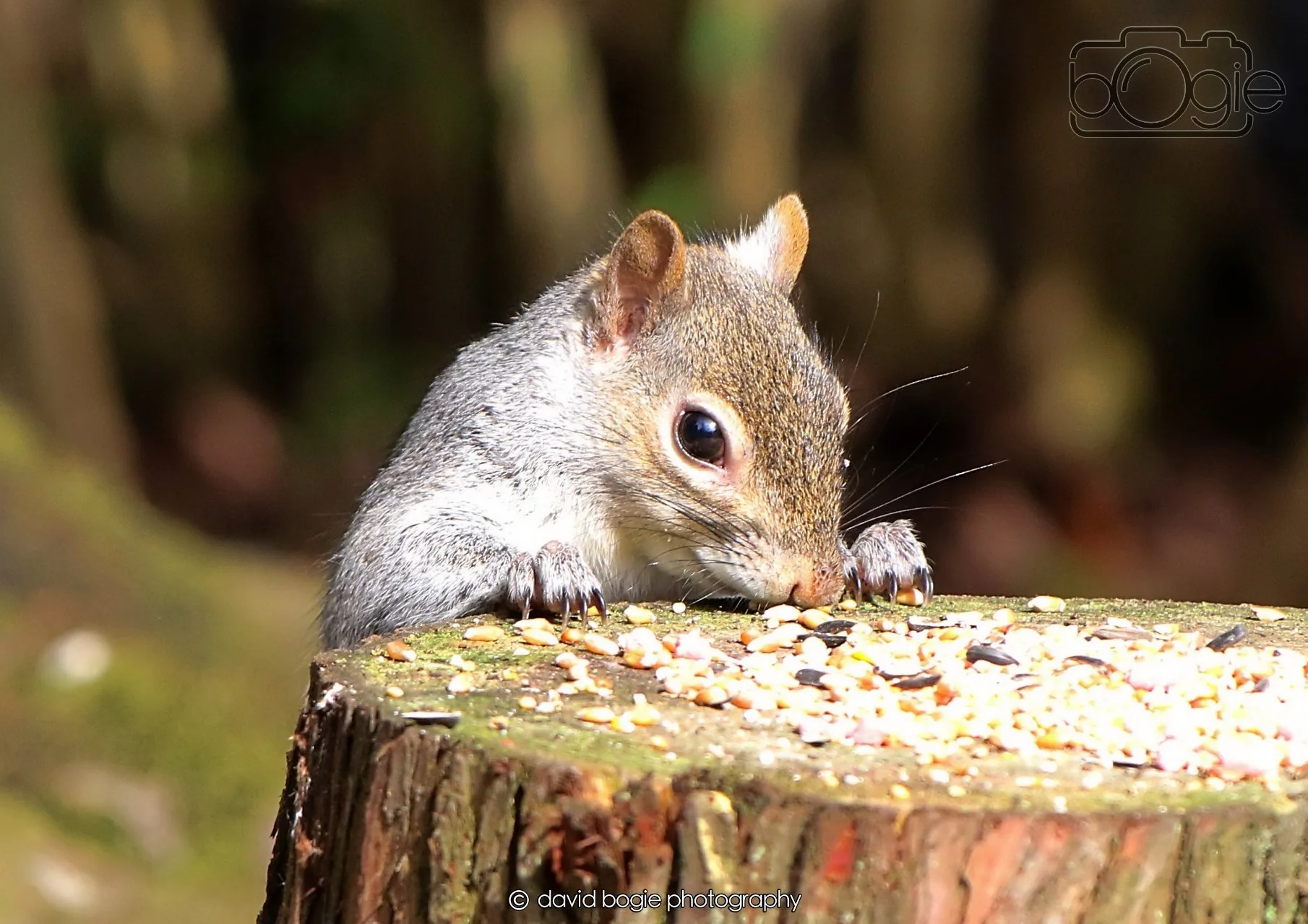 20260403 122234 Dunnikier 0187.jpg