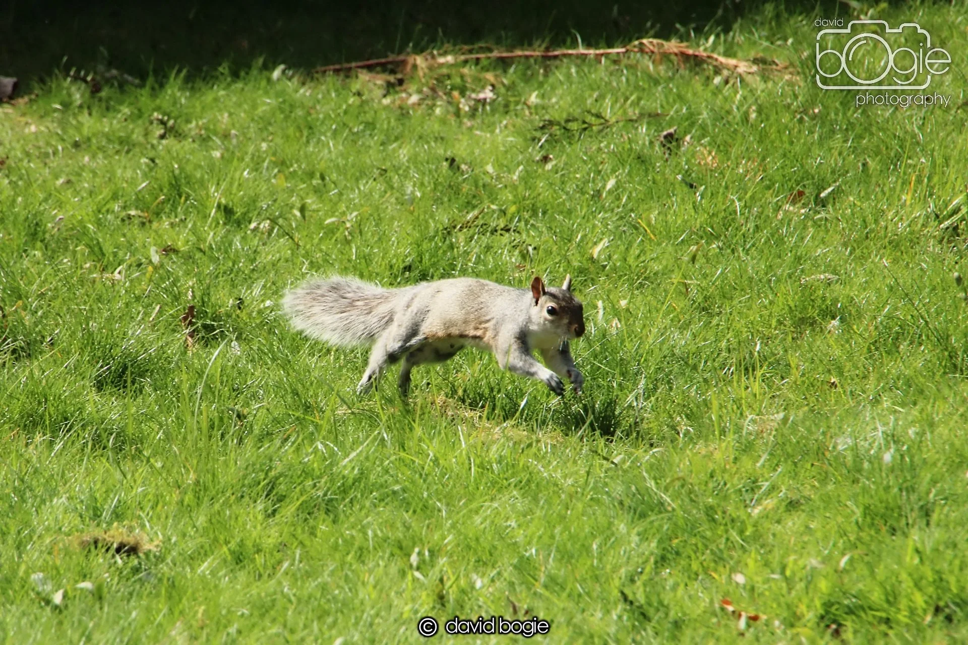 20240423 113251 Beveridge 0036.JPG