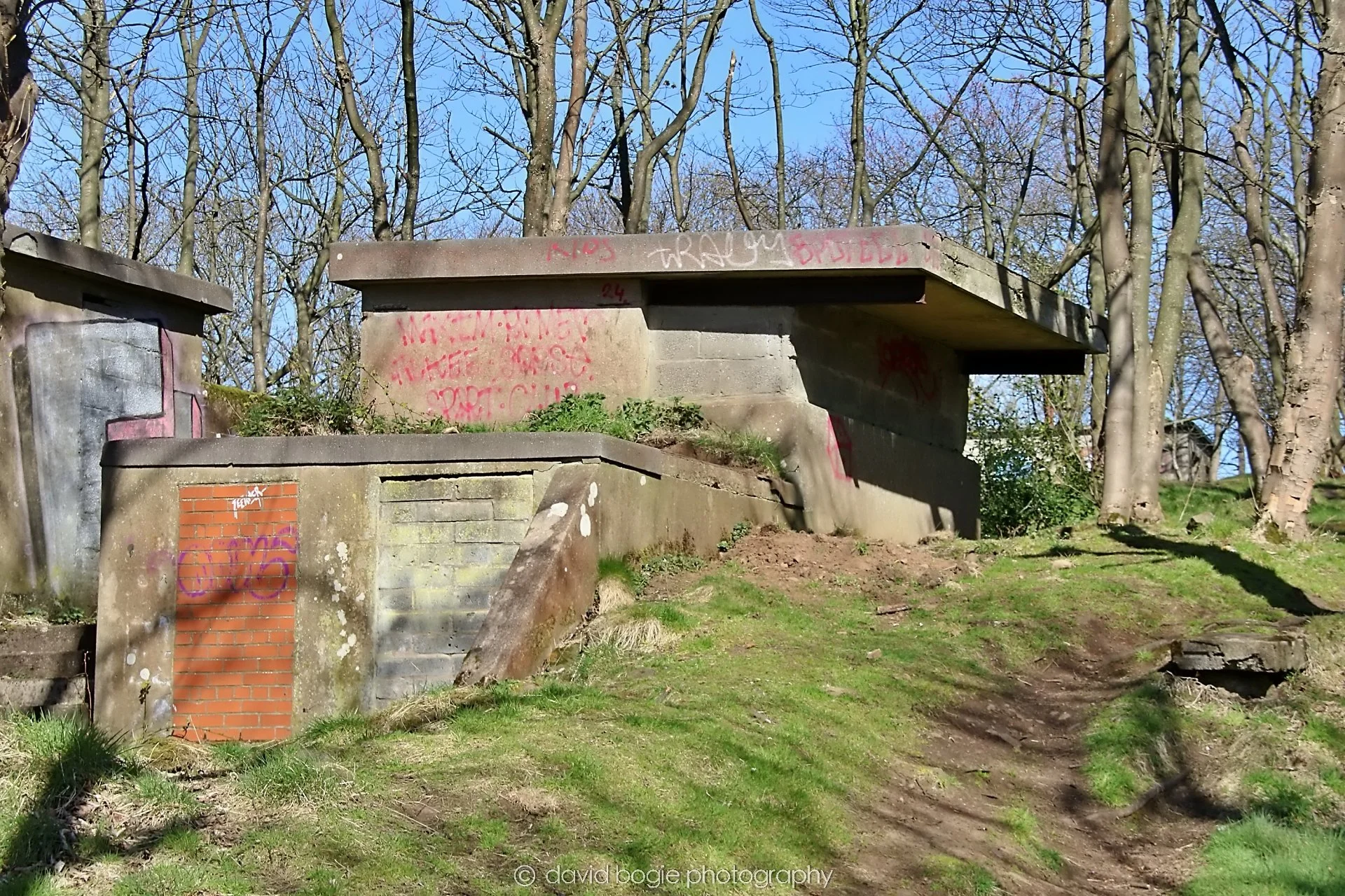 YEAR20250407 125107 Braefoot 7553.jpg