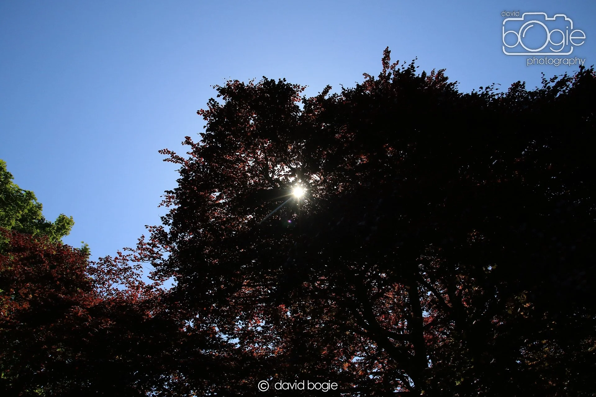 20250517 140723 Beveridge Park 0712.JPG